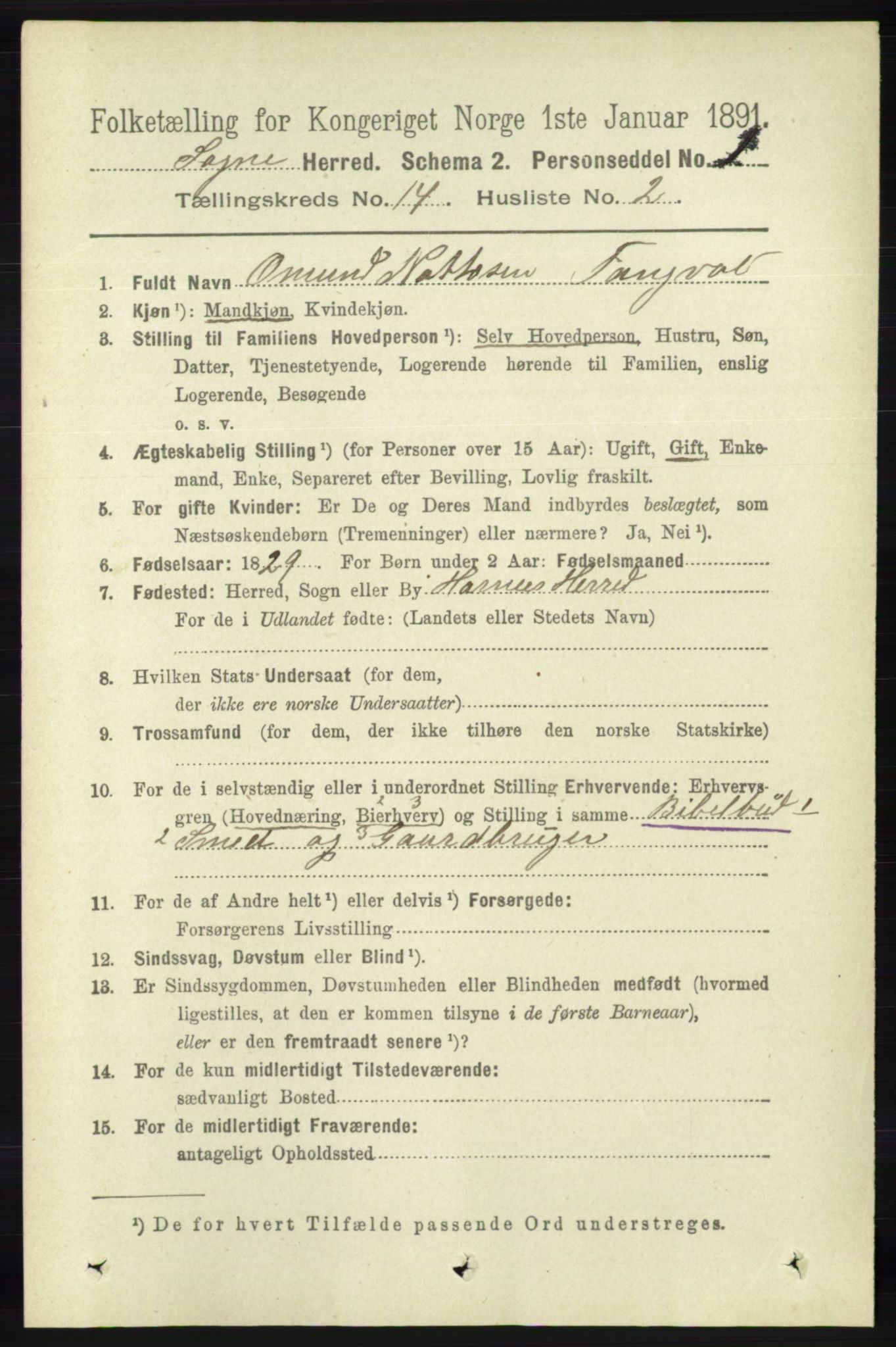 RA, 1891 census for 1018 Søgne, 1891, p. 3410