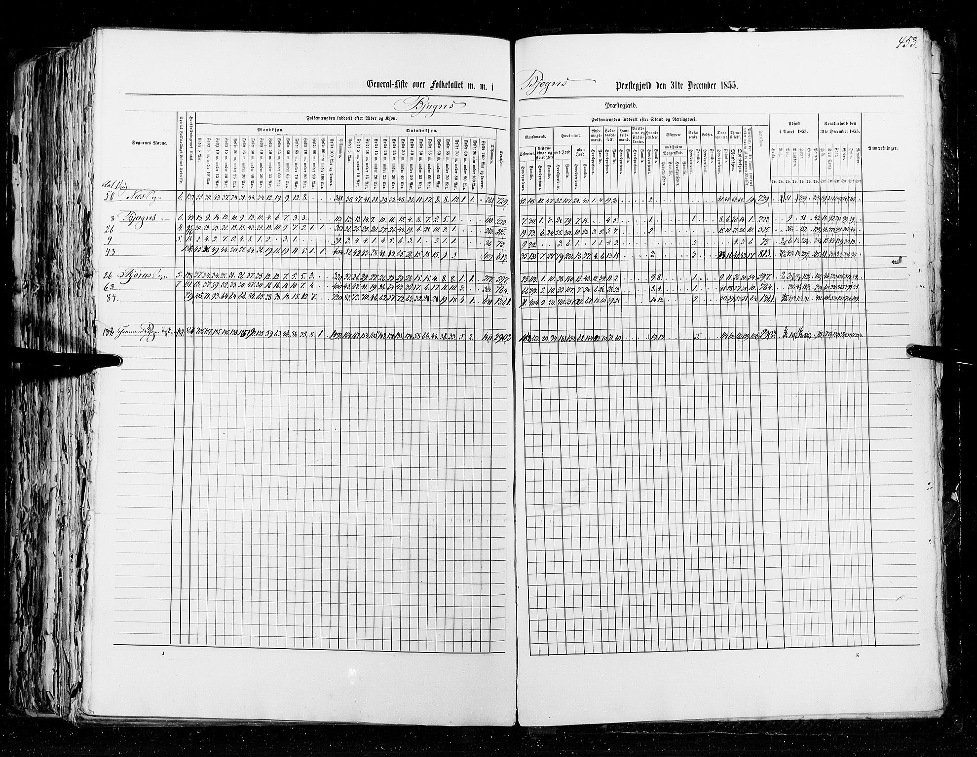 RA, Census 1855, vol. 5: Nordre Bergenhus amt, Romsdal amt og Søndre Trondhjem amt, 1855, p. 453