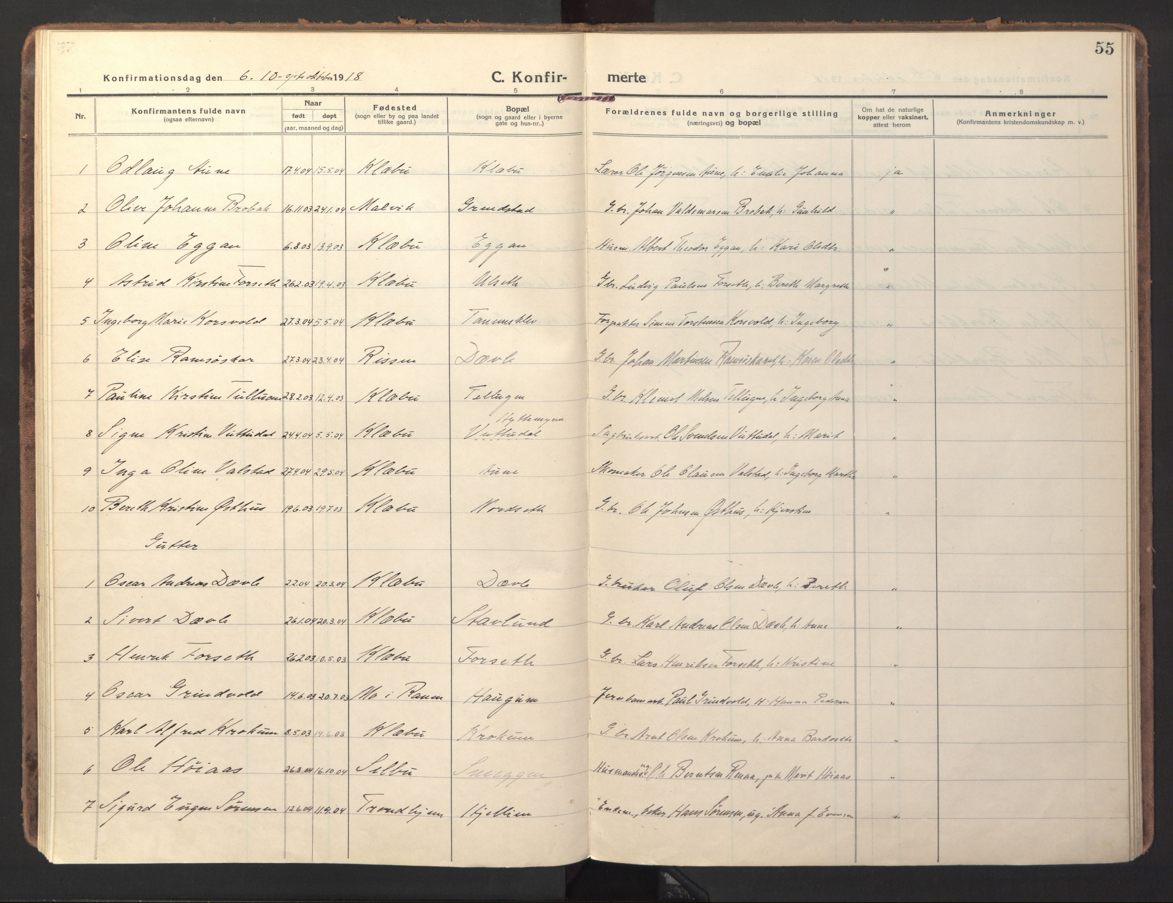Ministerialprotokoller, klokkerbøker og fødselsregistre - Sør-Trøndelag, SAT/A-1456/618/L0449: Parish register (official) no. 618A12, 1917-1924, p. 55