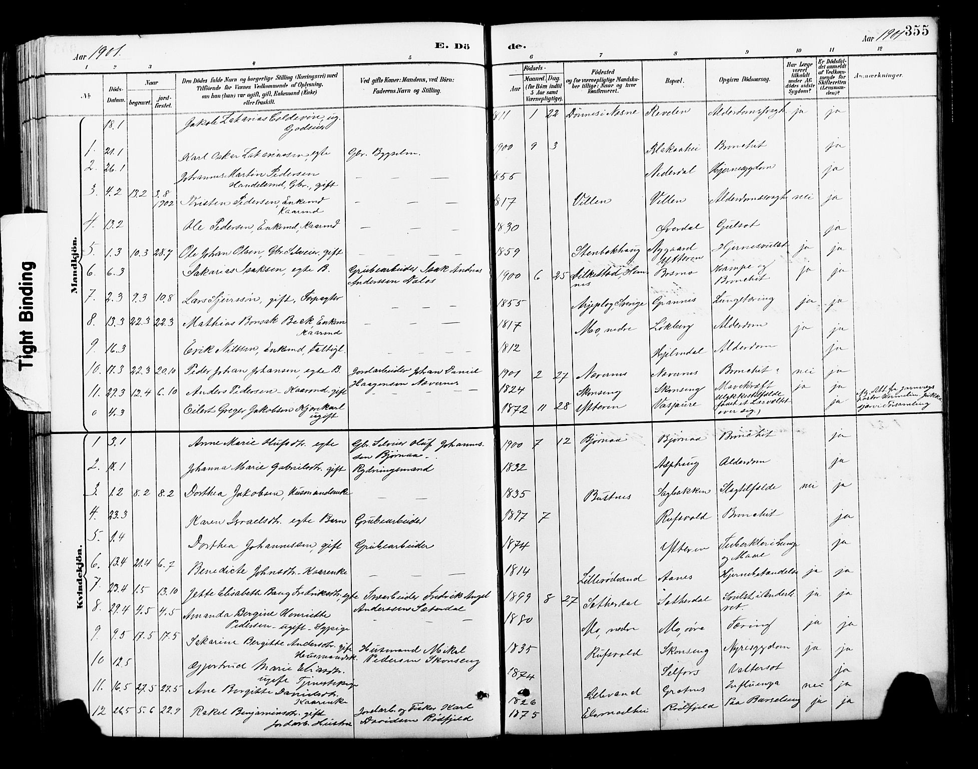 Ministerialprotokoller, klokkerbøker og fødselsregistre - Nordland, AV/SAT-A-1459/827/L0421: Parish register (copy) no. 827C10, 1887-1906, p. 355