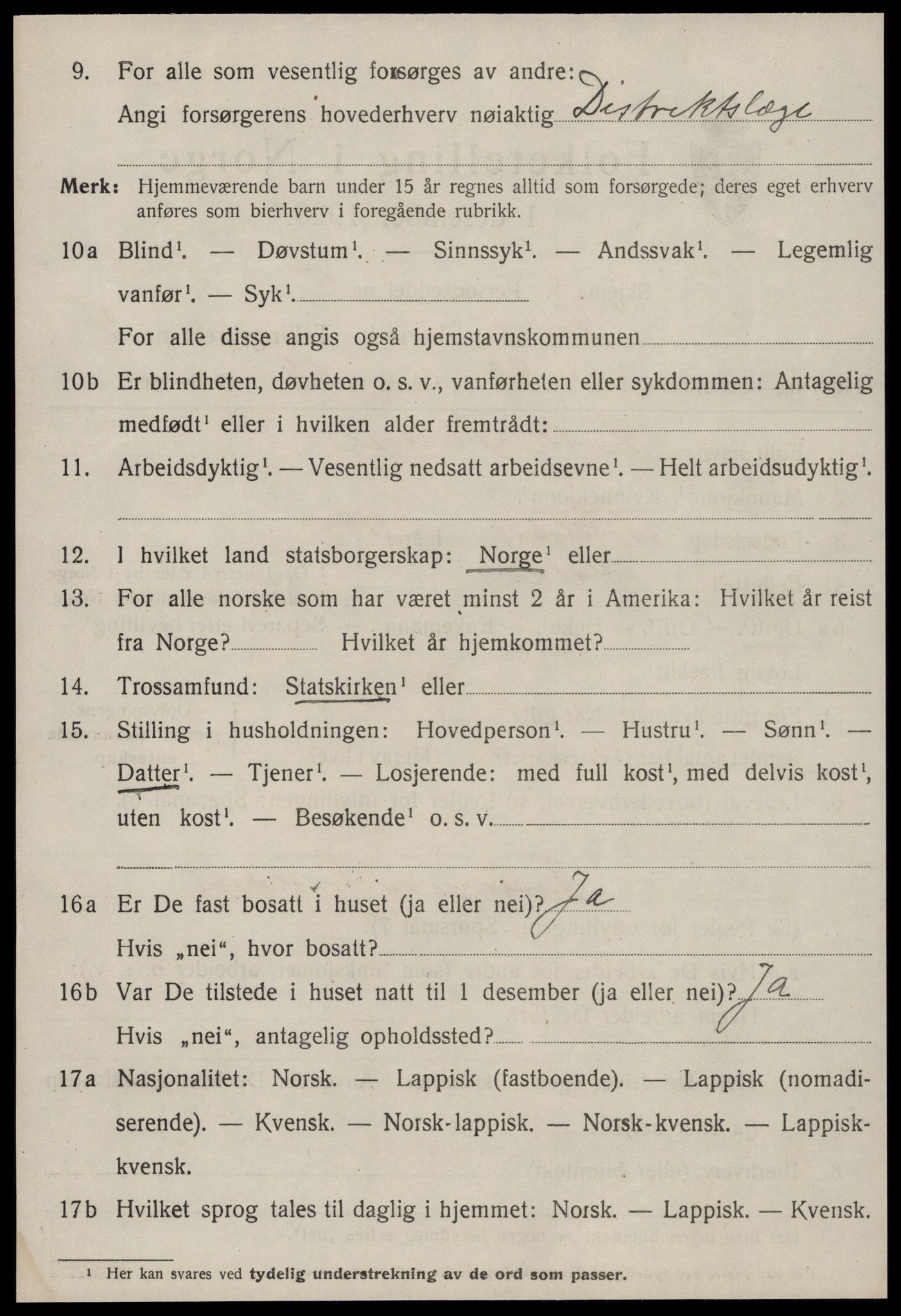 SAT, 1920 census for Røros, 1920, p. 4511