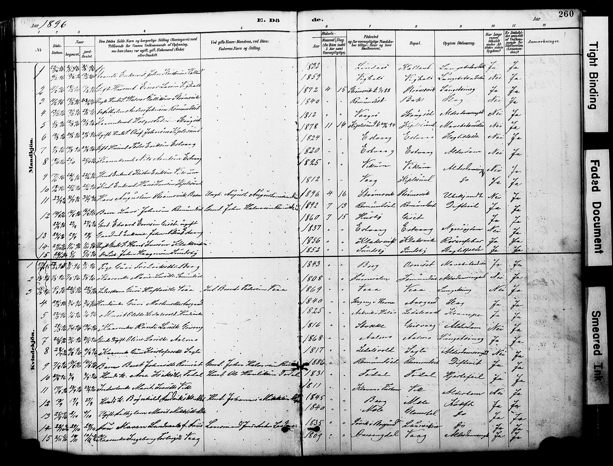 Ministerialprotokoller, klokkerbøker og fødselsregistre - Møre og Romsdal, AV/SAT-A-1454/578/L0907: Parish register (official) no. 578A06, 1887-1904, p. 260