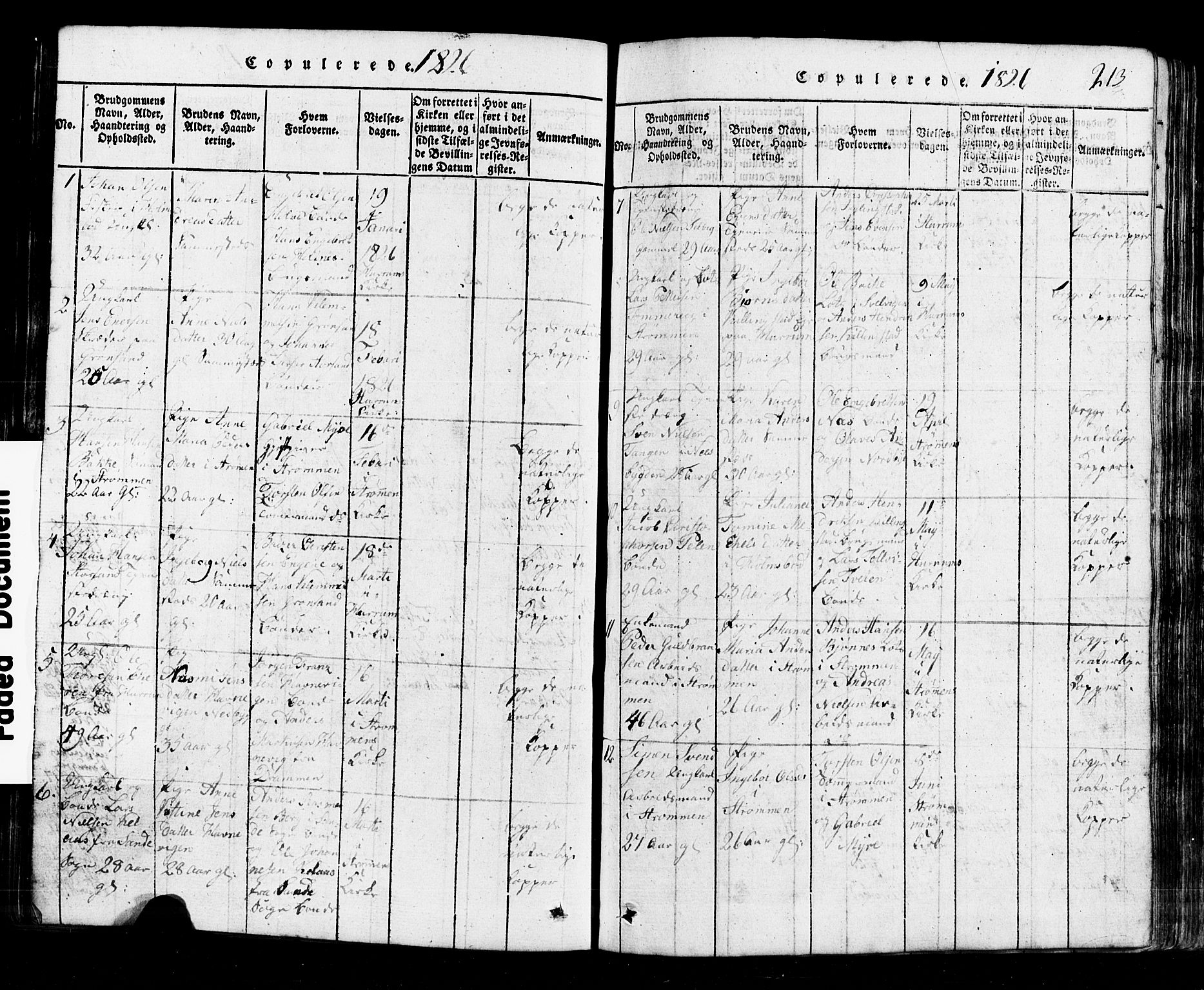 Hurum kirkebøker, SAKO/A-229/G/Ga/L0001: Parish register (copy) no. I 1, 1816-1826, p. 213