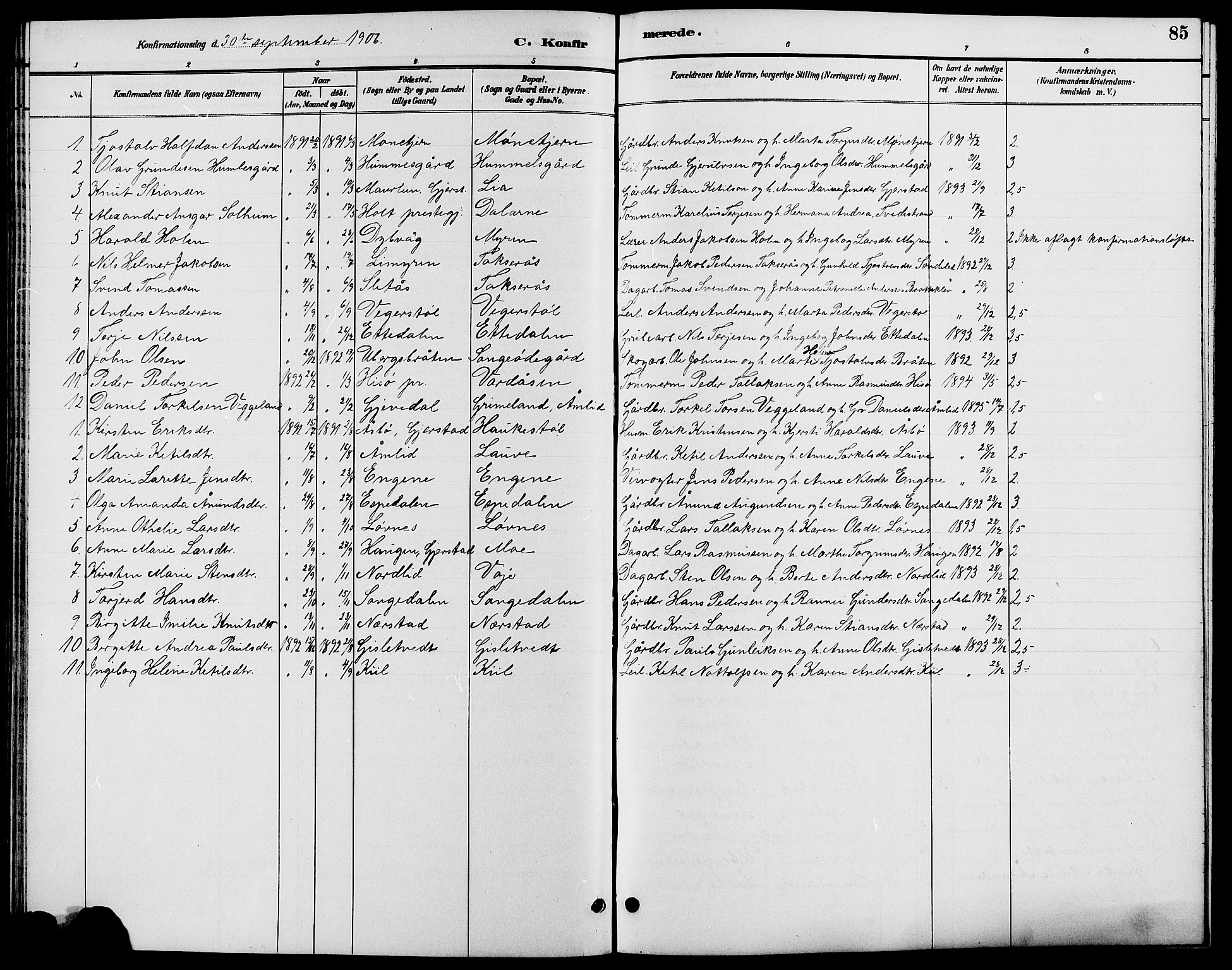 Gjerstad sokneprestkontor, SAK/1111-0014/F/Fb/Fbb/L0004: Parish register (copy) no. B 4, 1890-1910, p. 85