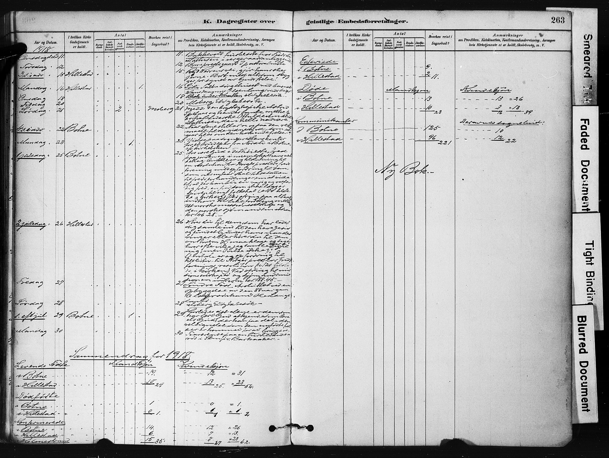 Botne kirkebøker, AV/SAKO-A-340/F/Fb/L0001: Parish register (official) no. II 1, 1878-1902, p. 263