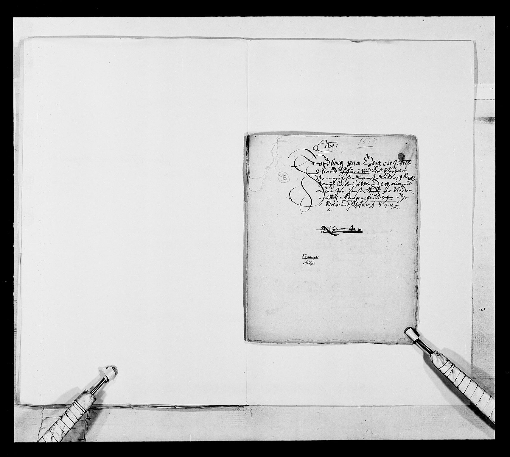 Stattholderembetet 1572-1771, AV/RA-EA-2870/Ek/L0021/0001: Jordebøker 1633-1658: / Adelsjordebøker innlevert til hyllingen i august 1648 og senere, 1648-1649, p. 213