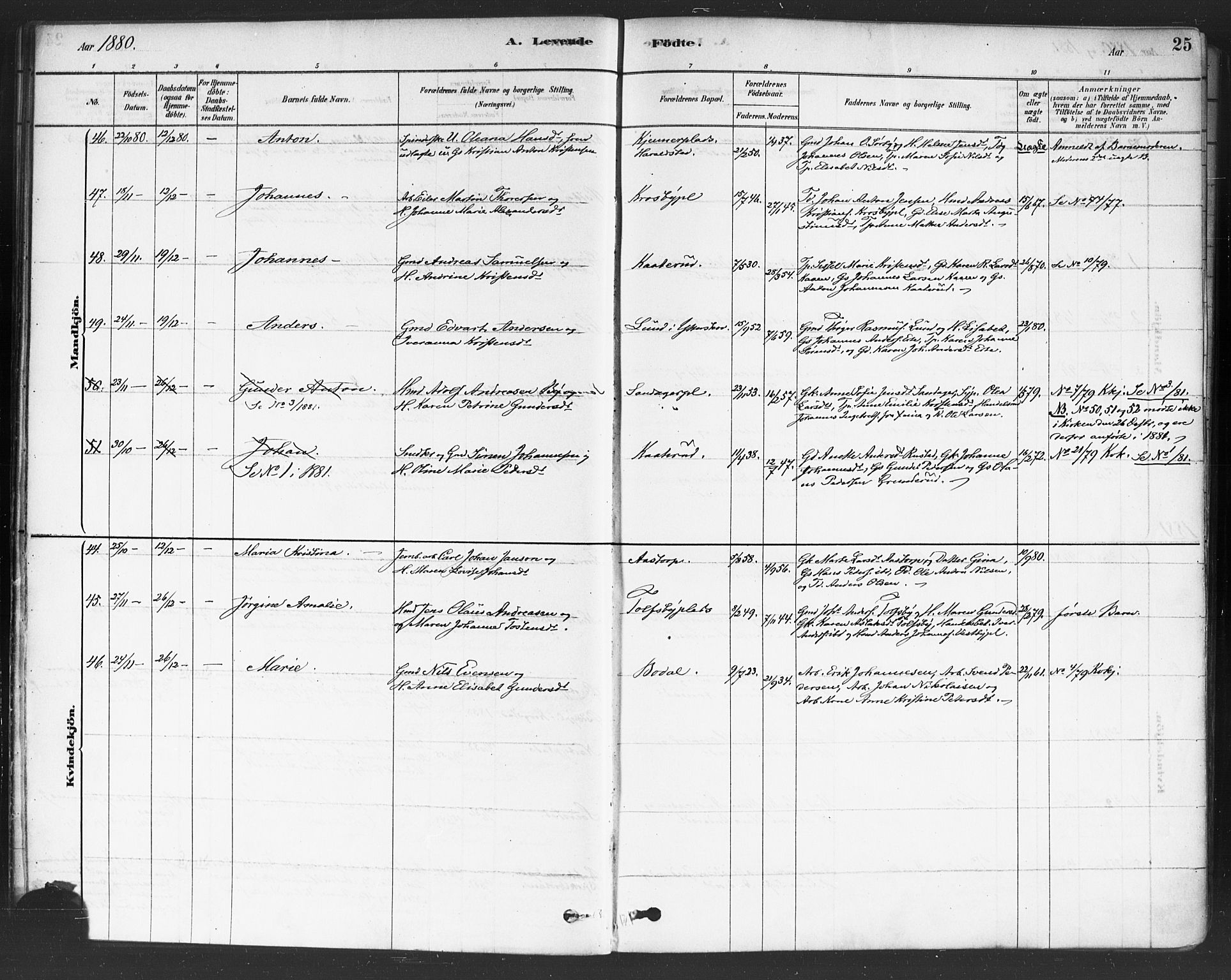 Rakkestad prestekontor Kirkebøker, SAO/A-2008/F/Fa/L0012: Parish register (official) no. I 12, 1878-1893, p. 25