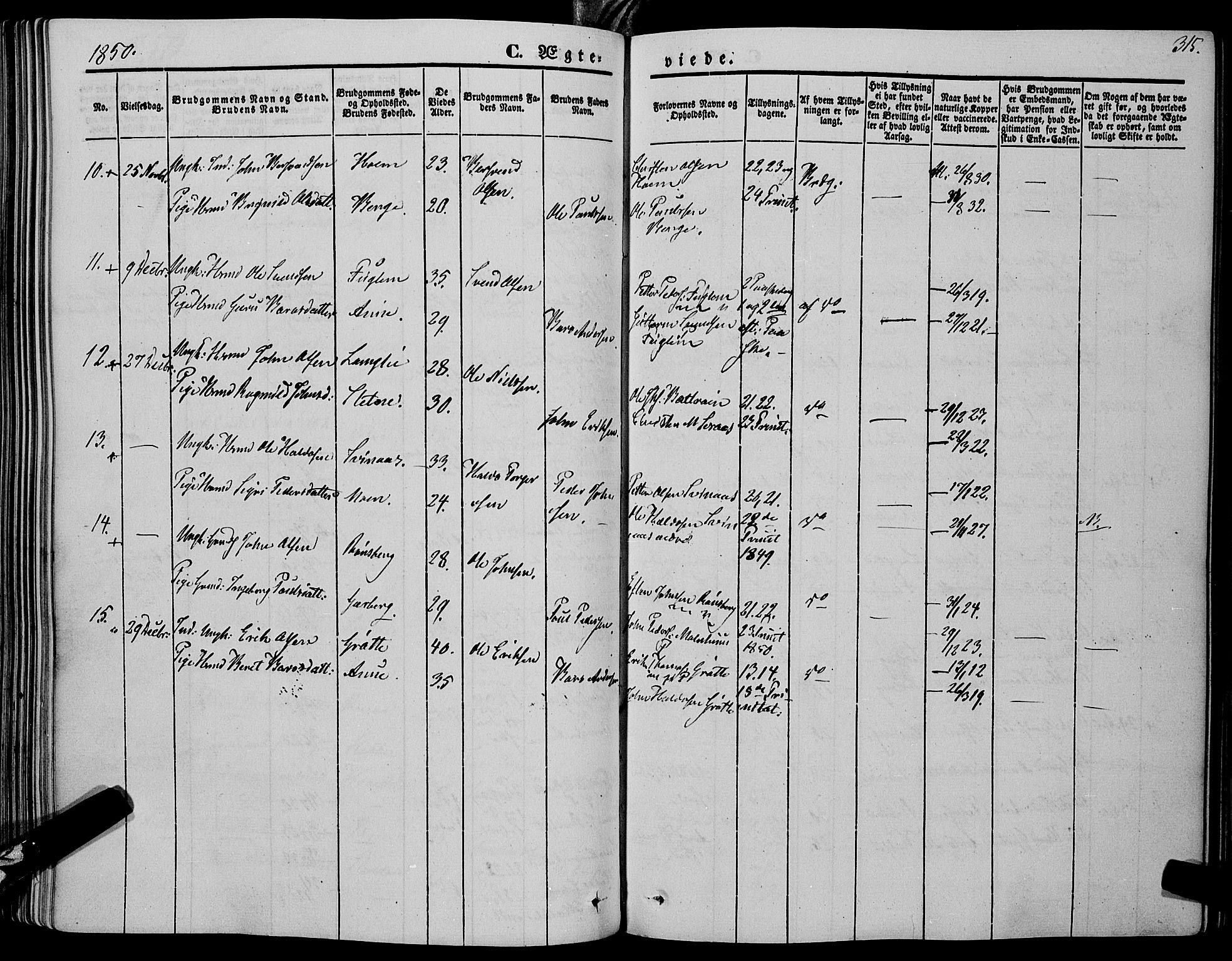 Ministerialprotokoller, klokkerbøker og fødselsregistre - Sør-Trøndelag, SAT/A-1456/695/L1145: Parish register (official) no. 695A06 /1, 1843-1859, p. 315