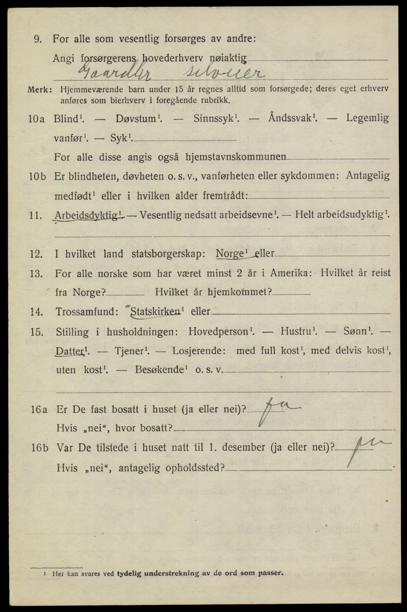 SAKO, 1920 census for Heddal, 1920, p. 3011