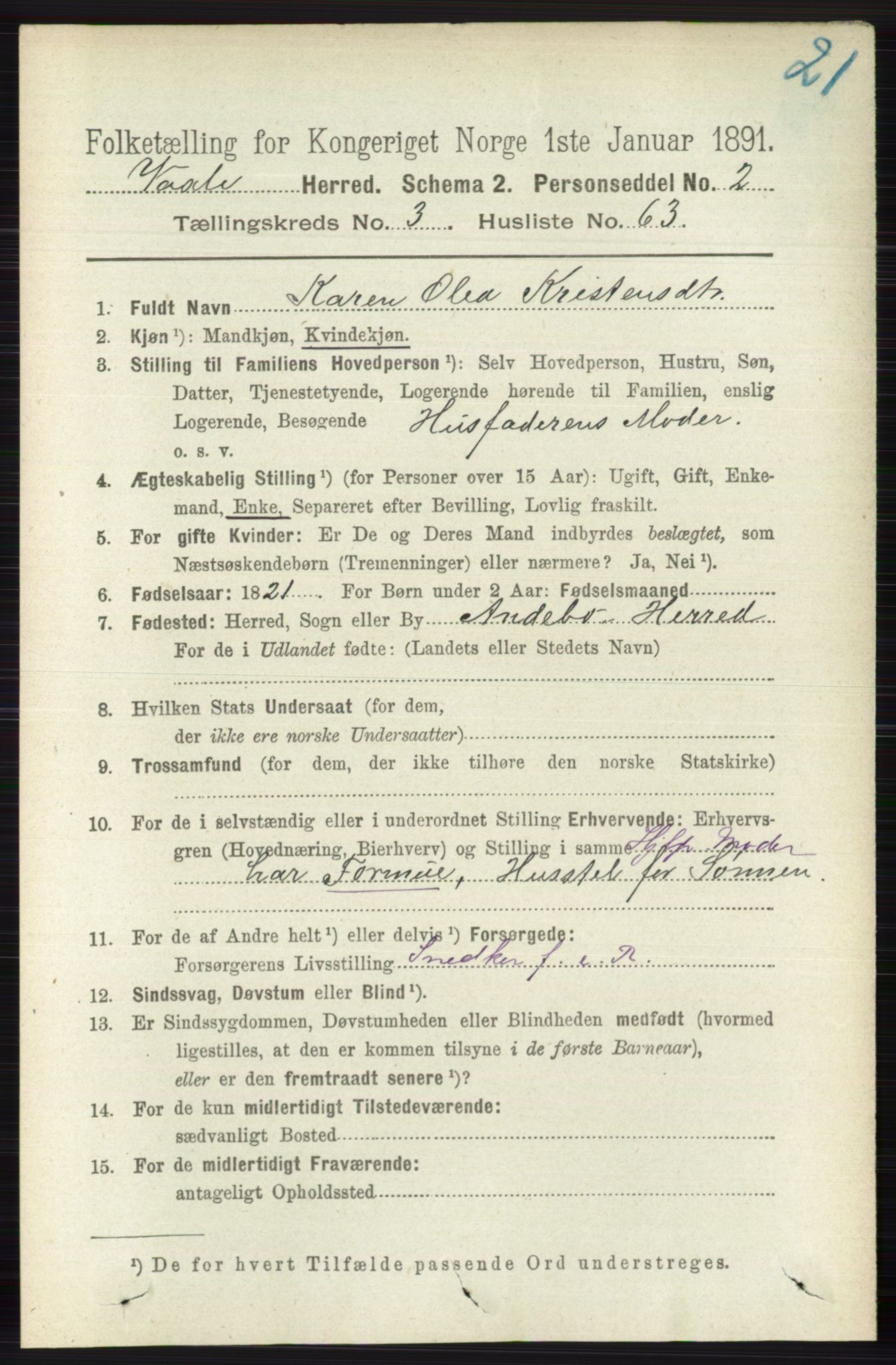 RA, 1891 census for 0716 Våle, 1891, p. 910