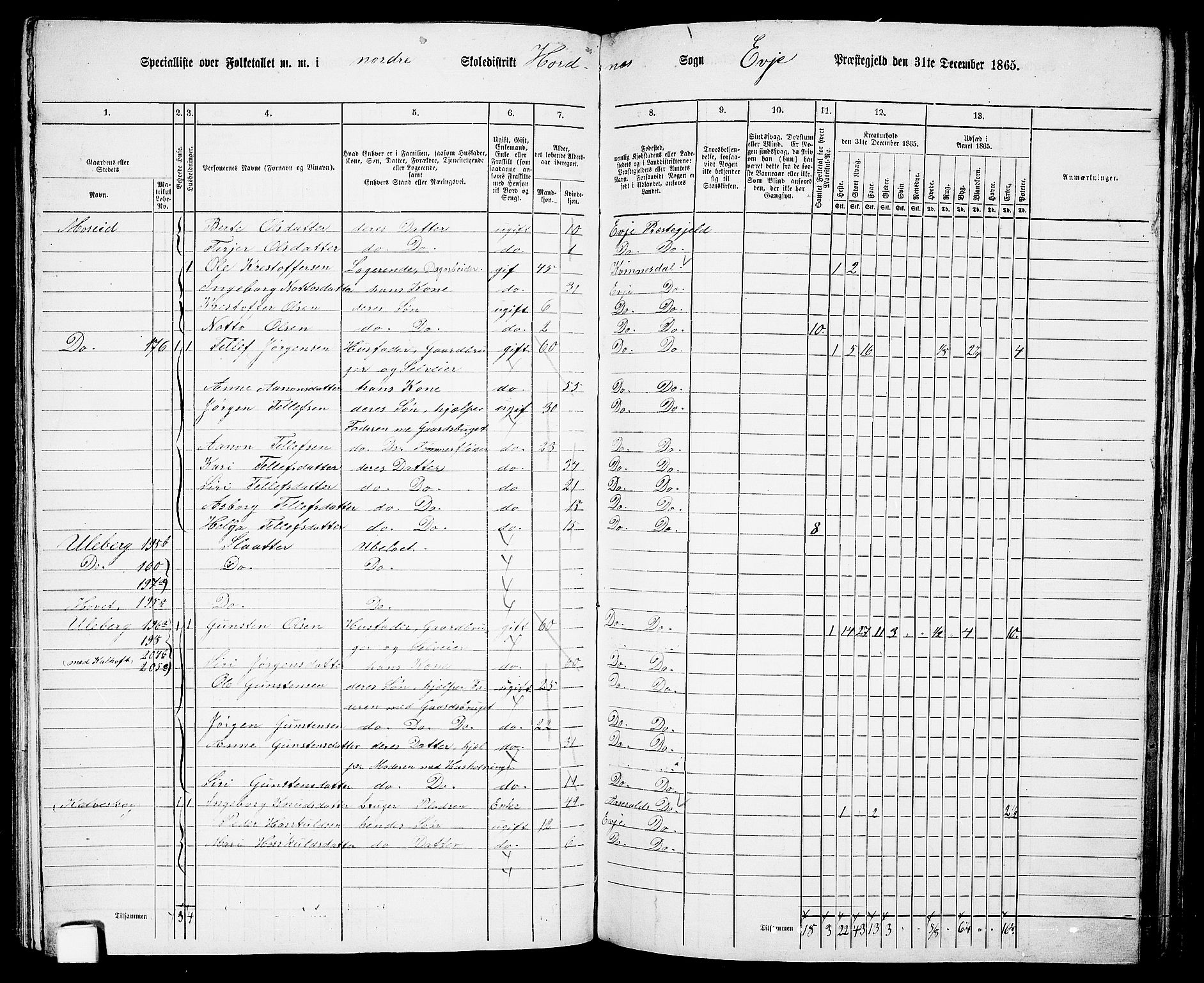 RA, 1865 census for Evje, 1865, p. 110