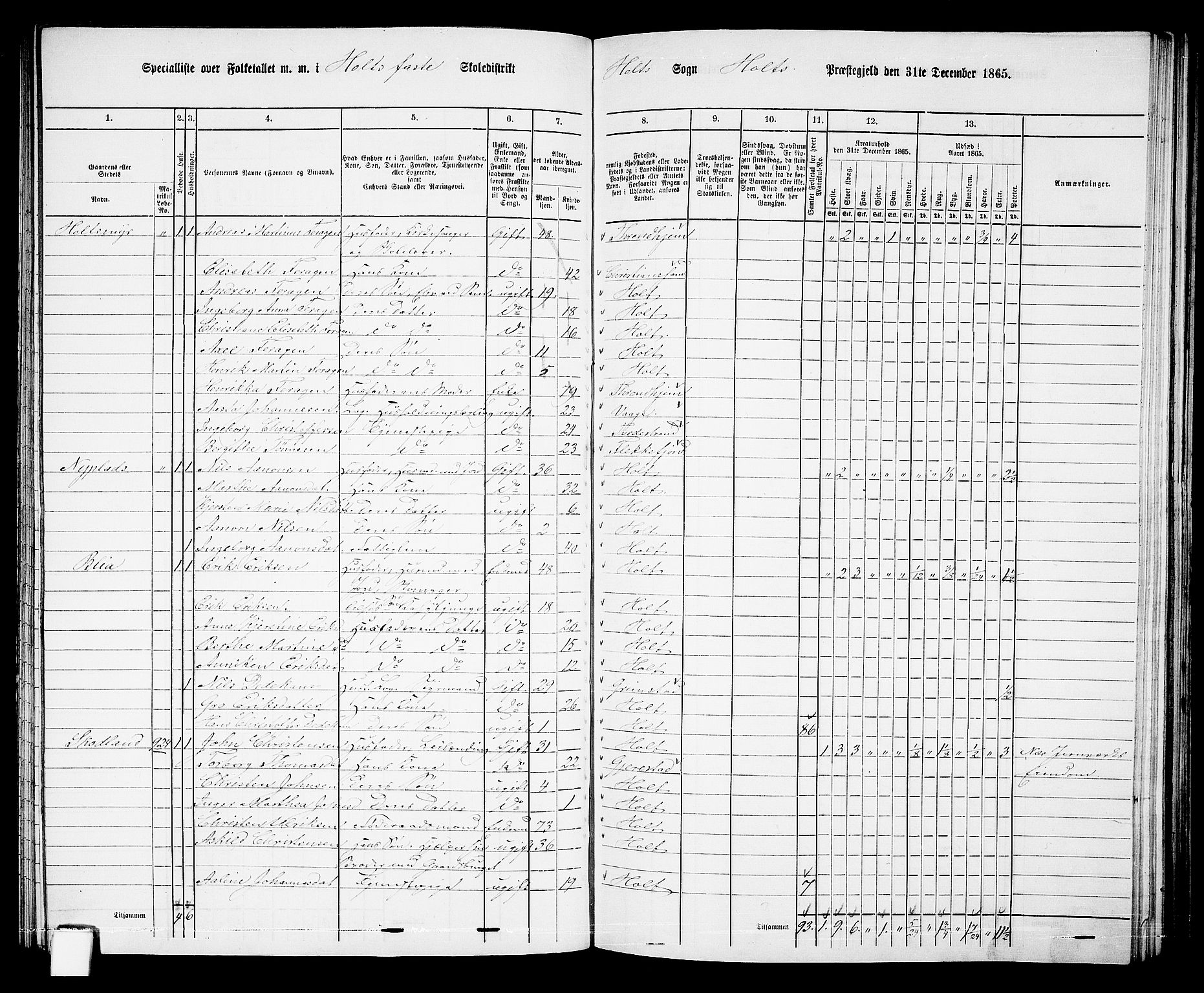 RA, 1865 census for Holt/Holt, 1865, p. 89