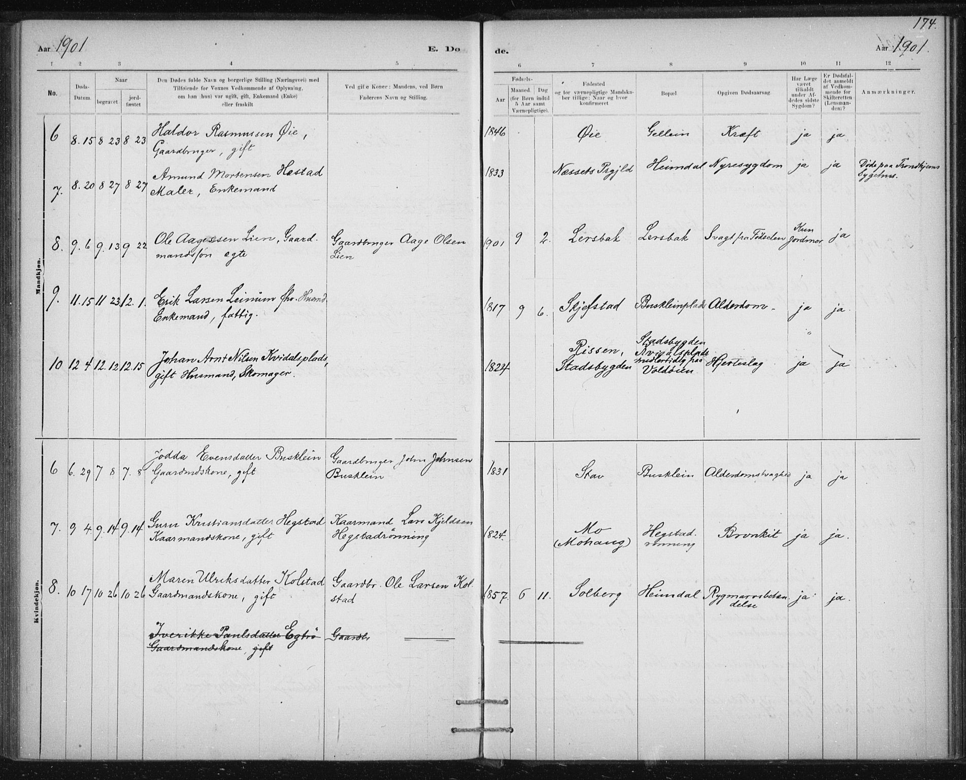 Ministerialprotokoller, klokkerbøker og fødselsregistre - Sør-Trøndelag, SAT/A-1456/613/L0392: Parish register (official) no. 613A01, 1887-1906, p. 174