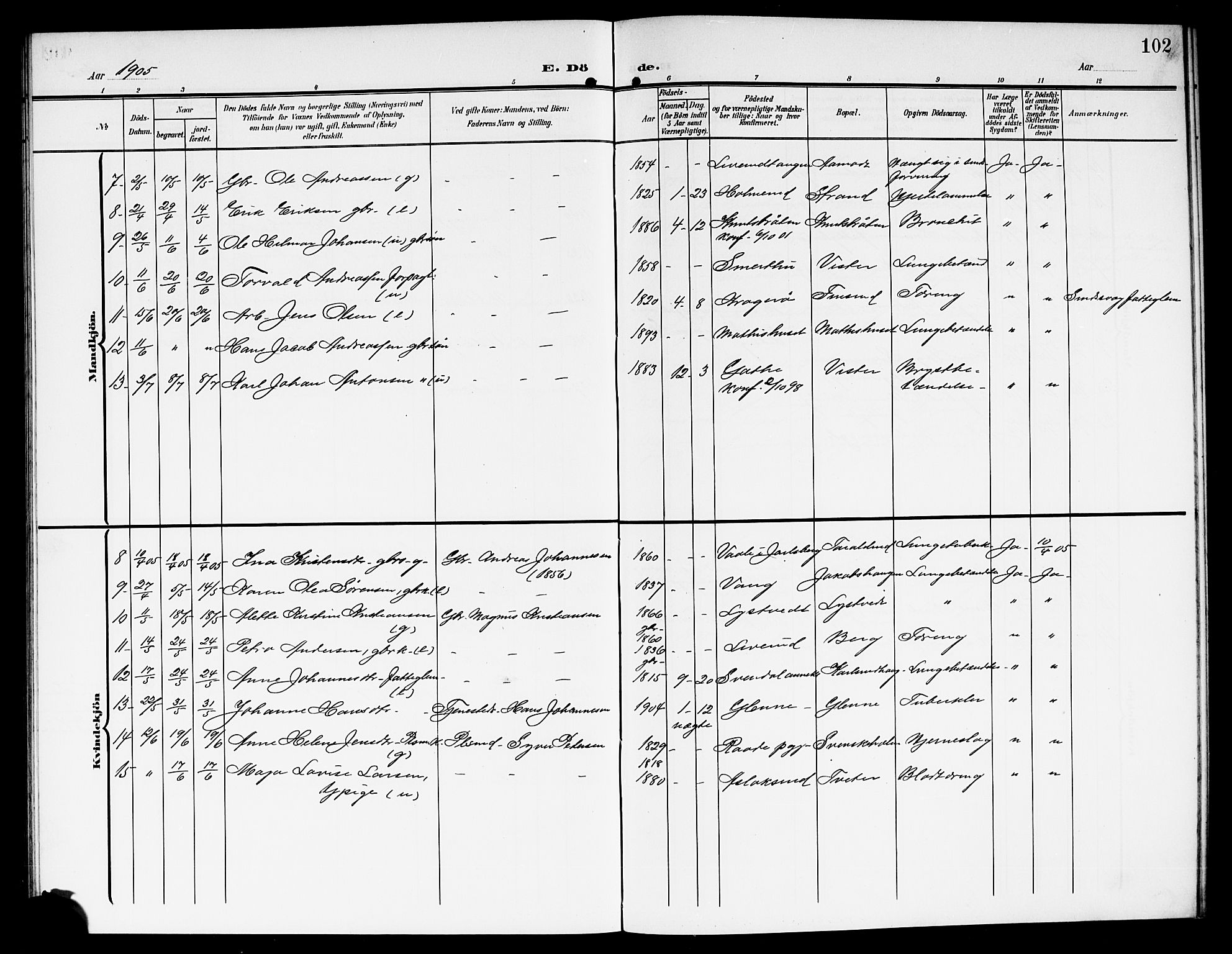 Skiptvet prestekontor Kirkebøker, SAO/A-20009/G/Ga/L0002: Parish register (copy) no. 2, 1905-1915, p. 102