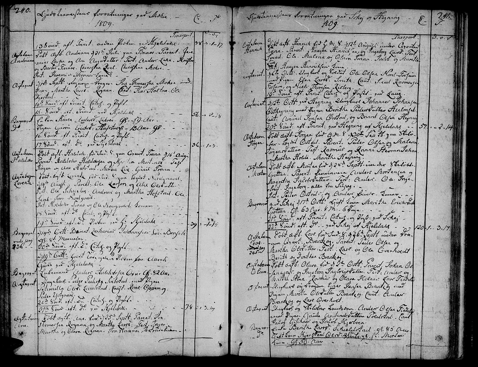 Ministerialprotokoller, klokkerbøker og fødselsregistre - Nord-Trøndelag, SAT/A-1458/735/L0332: Parish register (official) no. 735A03, 1795-1816, p. 240-241
