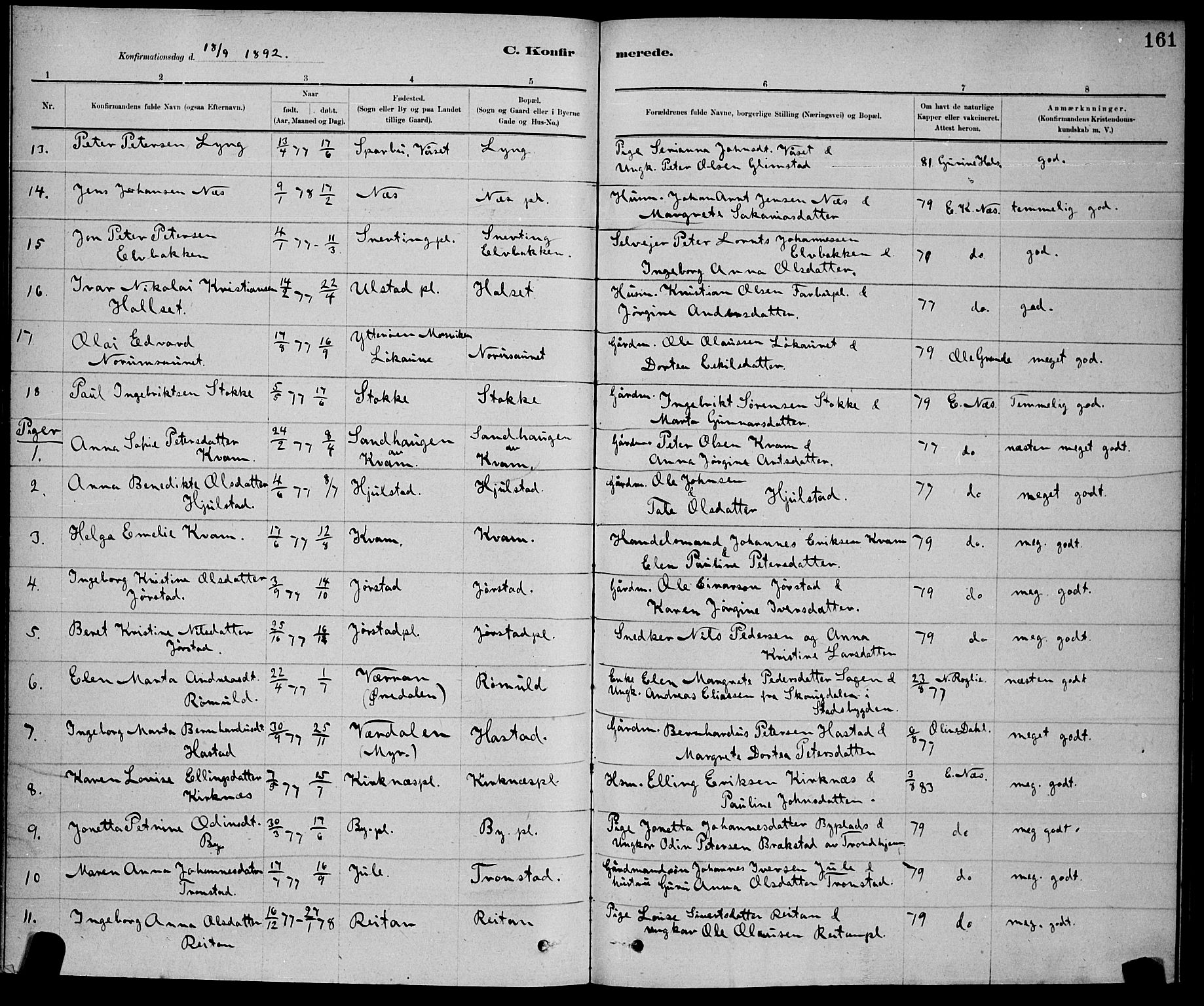 Ministerialprotokoller, klokkerbøker og fødselsregistre - Nord-Trøndelag, SAT/A-1458/730/L0301: Parish register (copy) no. 730C04, 1880-1897, p. 161