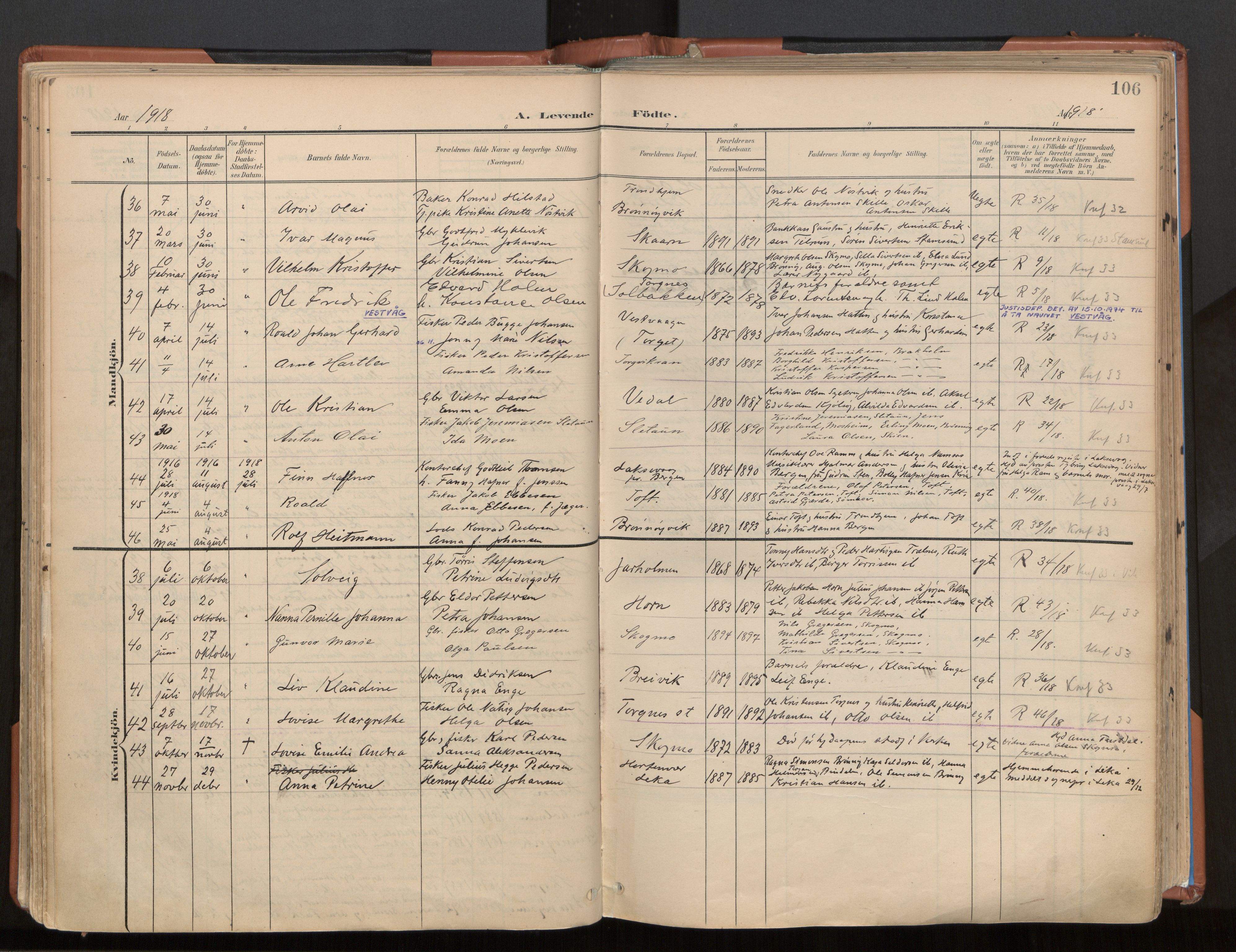 Ministerialprotokoller, klokkerbøker og fødselsregistre - Nordland, SAT/A-1459/813/L0201: Parish register (official) no. 813A11, 1901-1918, p. 106