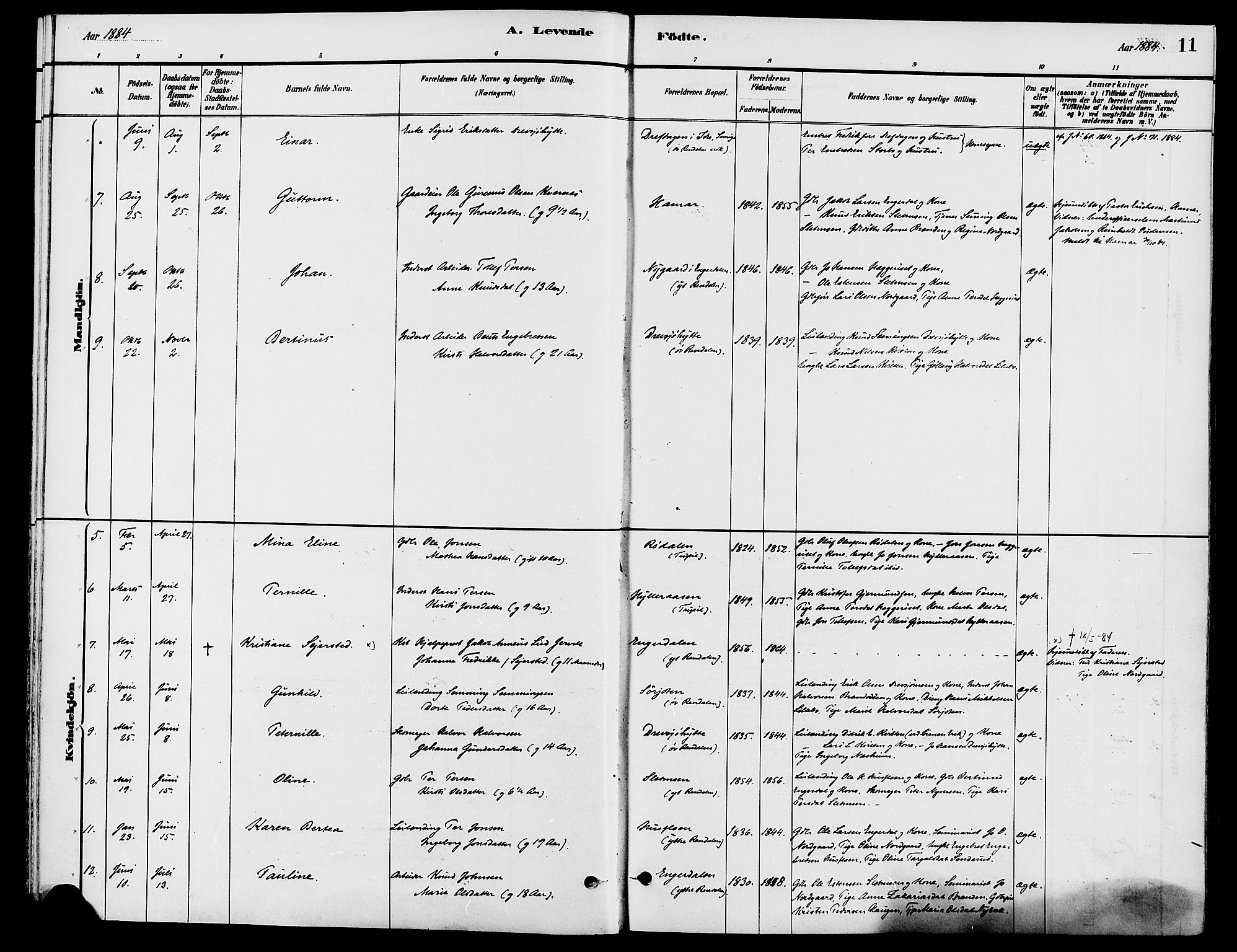 Engerdal prestekontor, AV/SAH-PREST-048/H/Ha/Haa/L0001: Parish register (official) no. 1, 1881-1898, p. 11