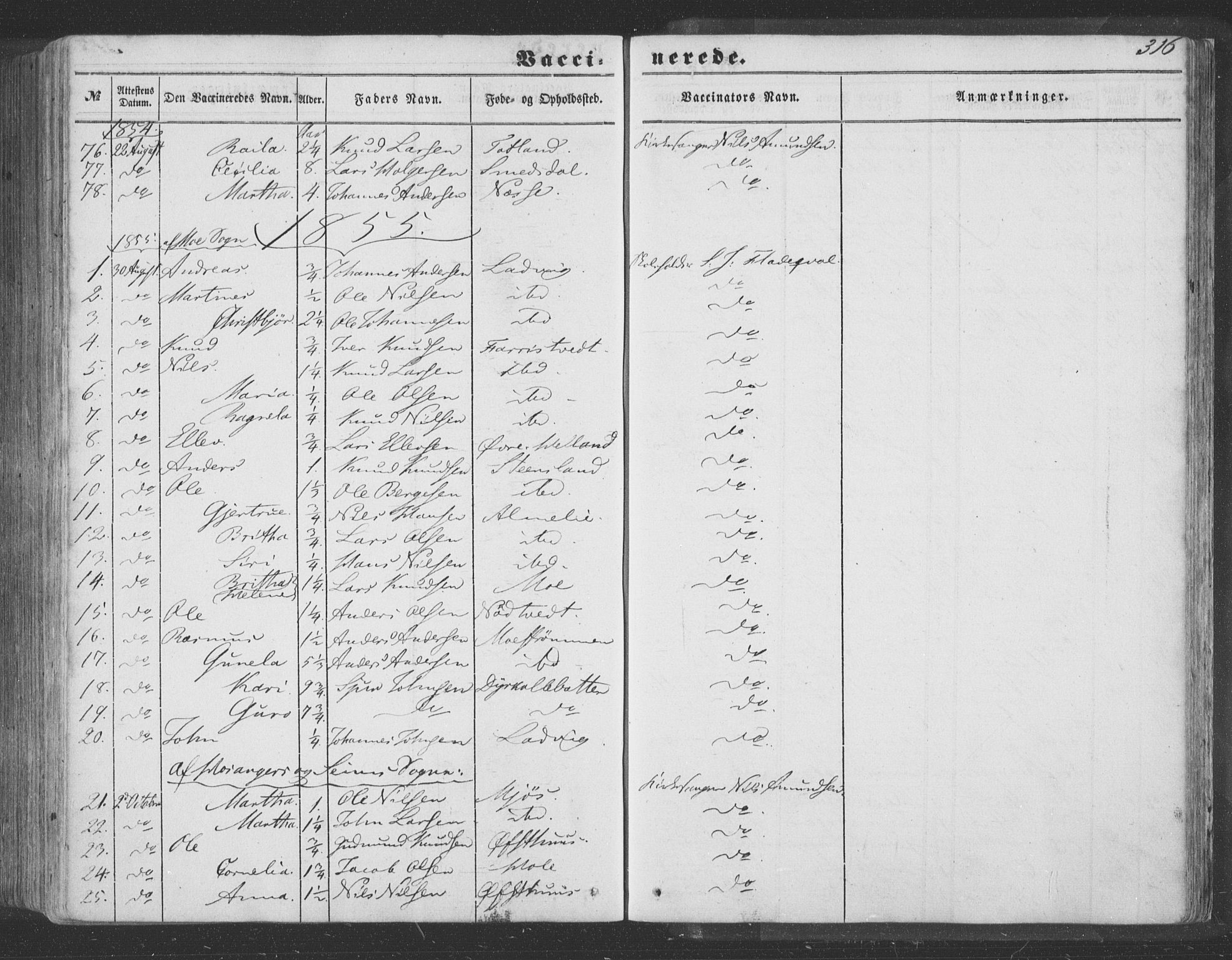 Hosanger sokneprestembete, SAB/A-75801/H/Haa: Parish register (official) no. A 8, 1849-1863, p. 316