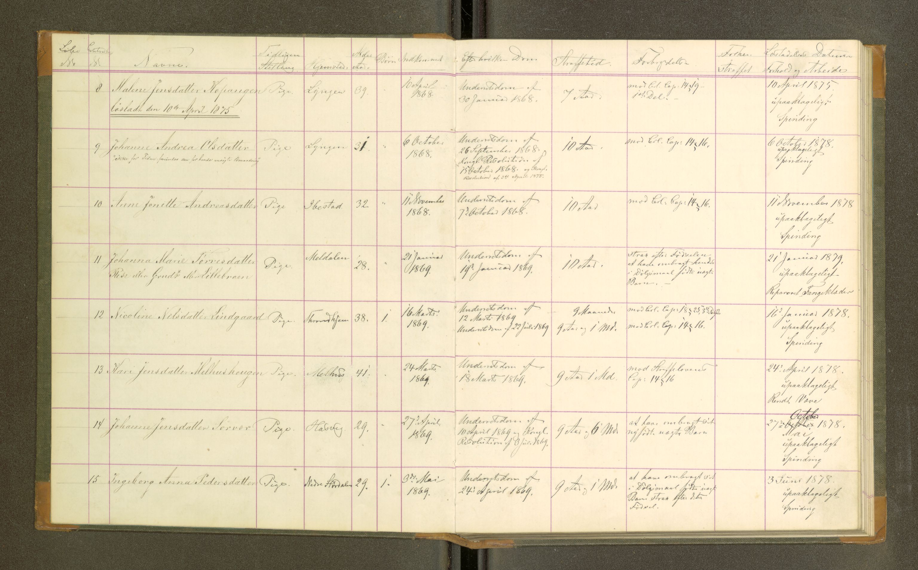 Trondheim tukthus, SAT/A-4619/05/65/L0031: 65.31 Fangeprotokoll, 1875