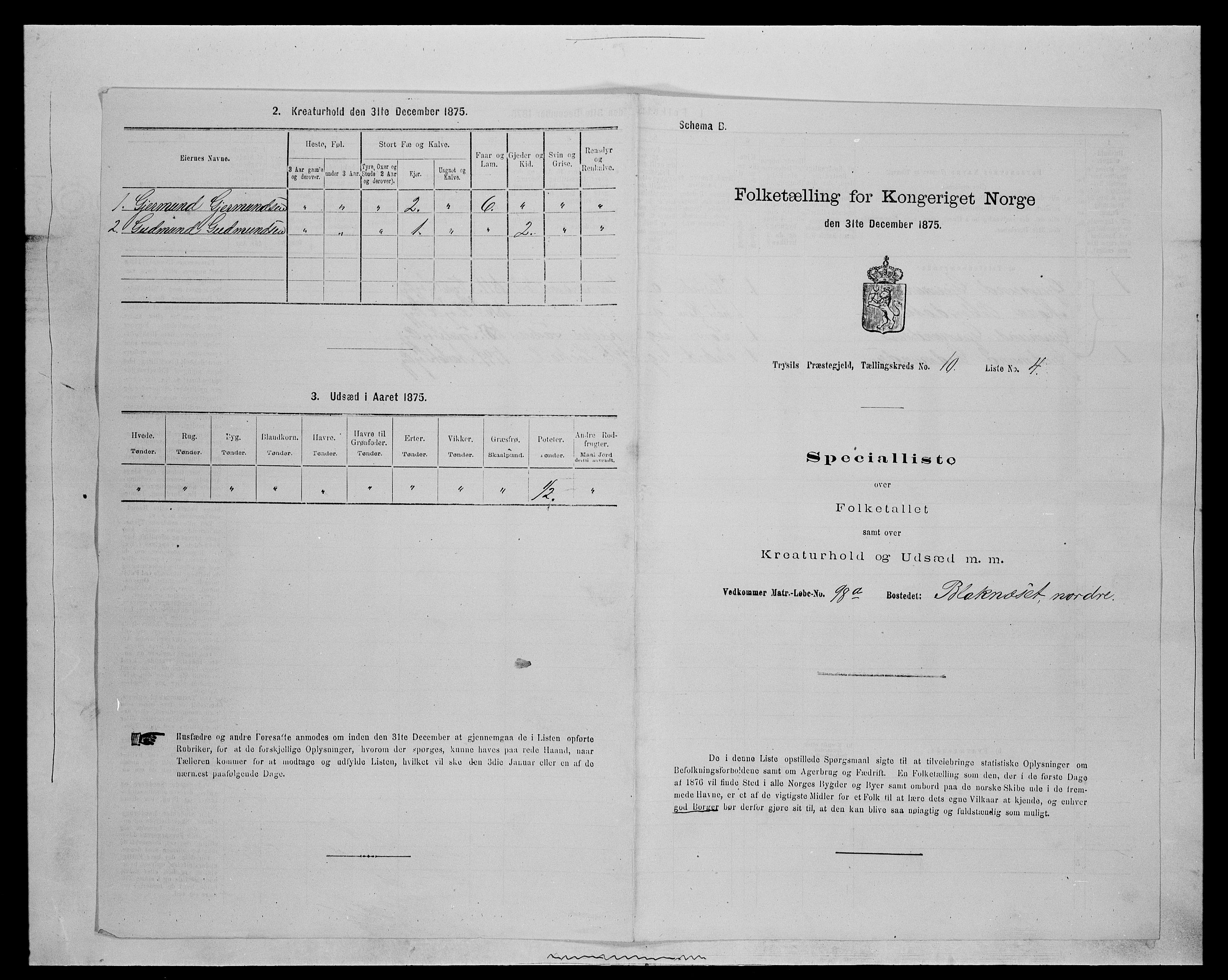 SAH, 1875 census for 0428P Trysil, 1875, p. 1146