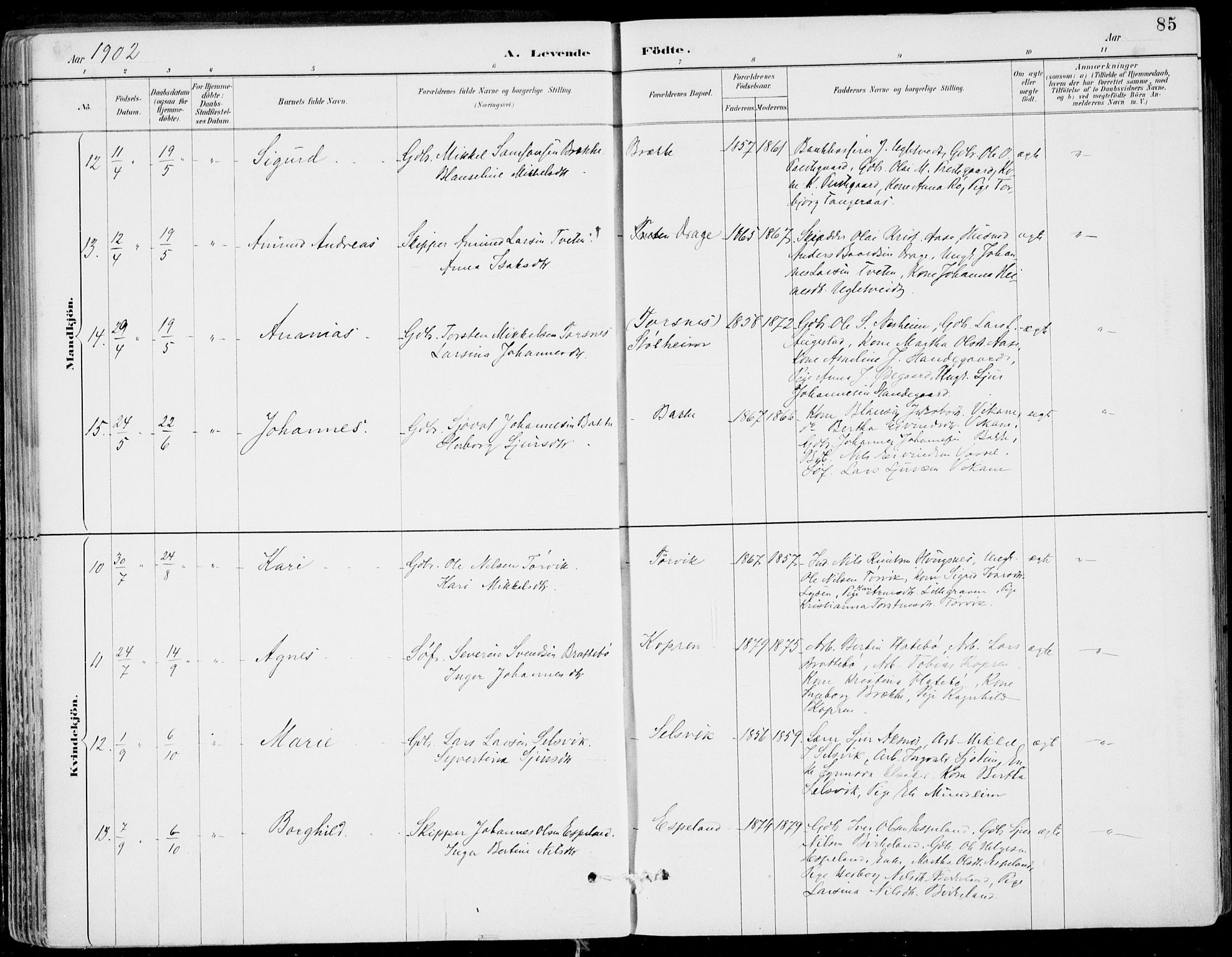 Strandebarm sokneprestembete, AV/SAB-A-78401/H/Haa: Parish register (official) no. E  1, 1886-1908, p. 85