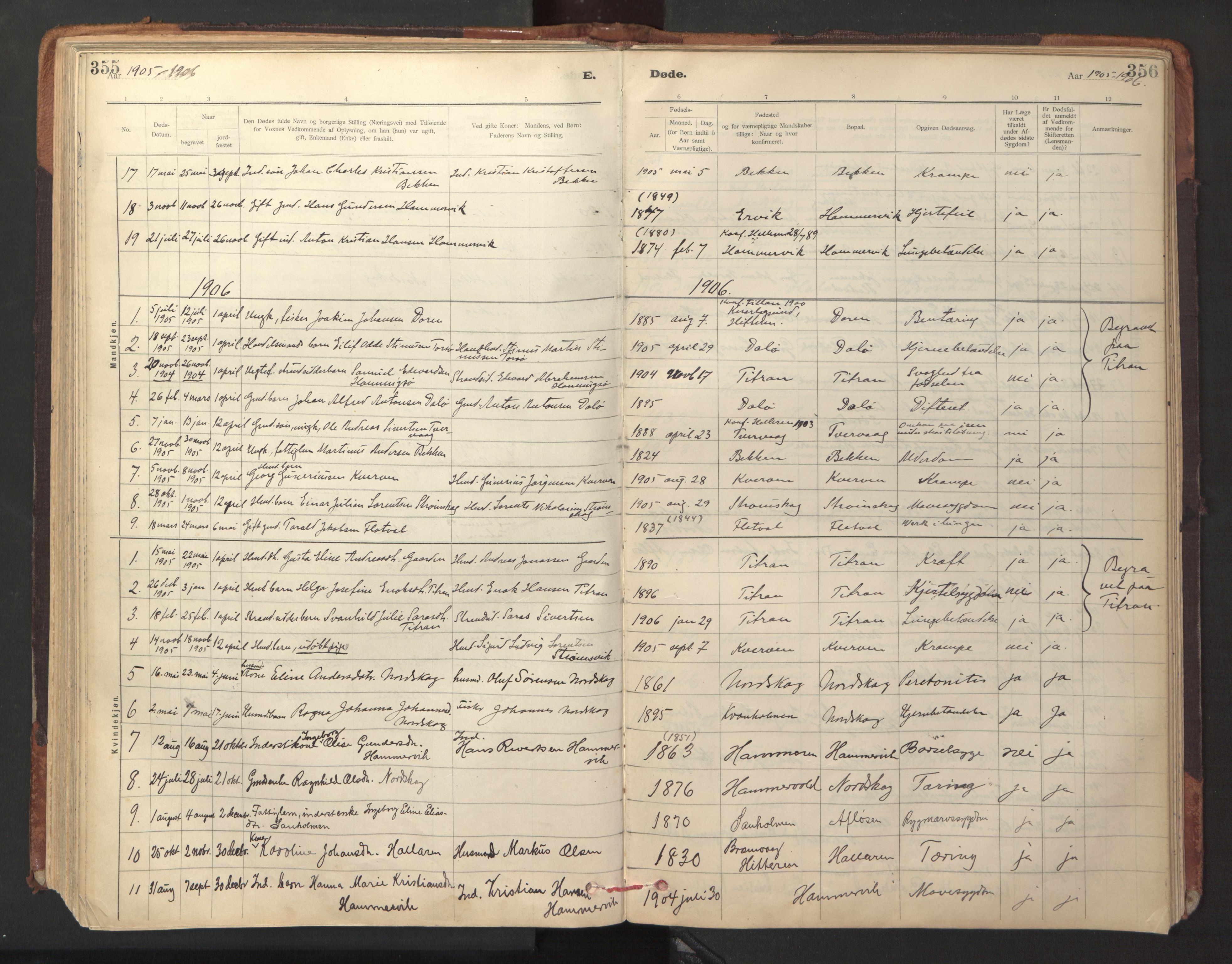 Ministerialprotokoller, klokkerbøker og fødselsregistre - Sør-Trøndelag, SAT/A-1456/641/L0596: Parish register (official) no. 641A02, 1898-1915, p. 355-356