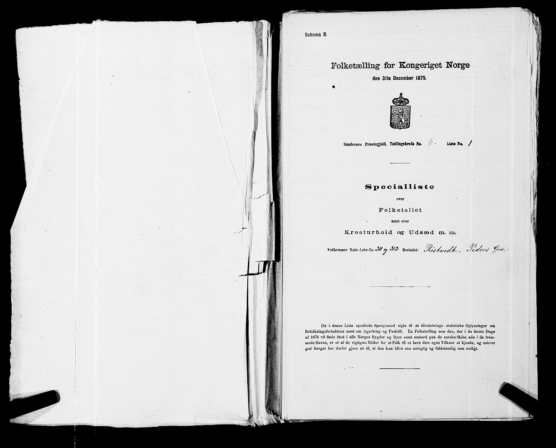 SAKO, 1875 census for 0629P Sandsvær, 1875, p. 1124
