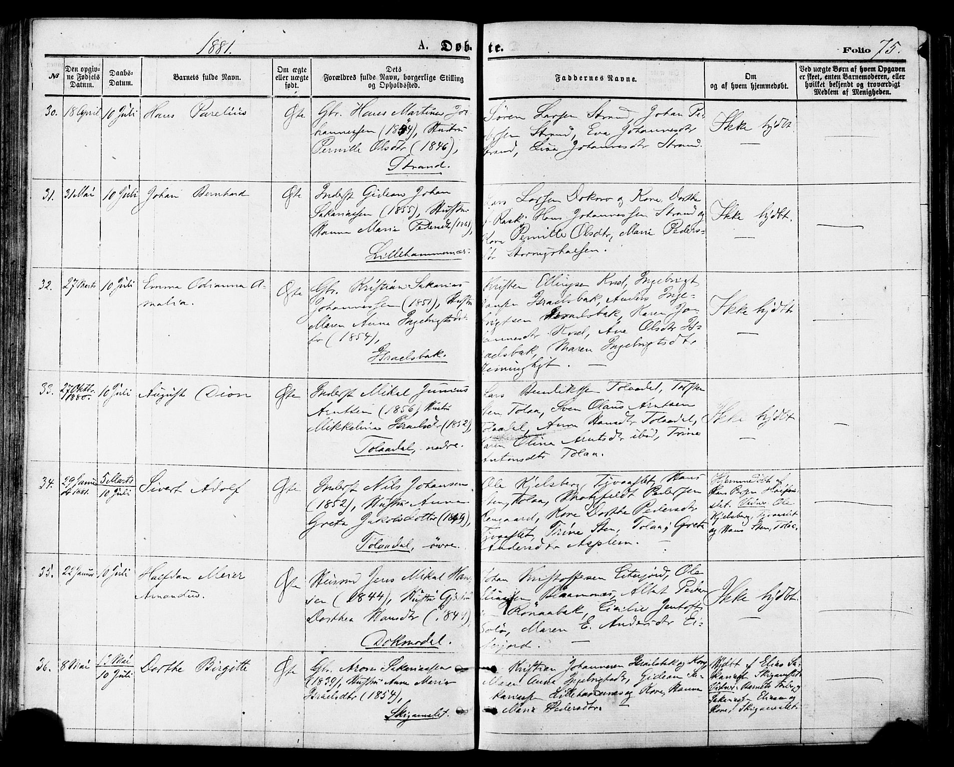 Ministerialprotokoller, klokkerbøker og fødselsregistre - Nordland, AV/SAT-A-1459/846/L0645: Parish register (official) no. 846A03, 1872-1886, p. 75