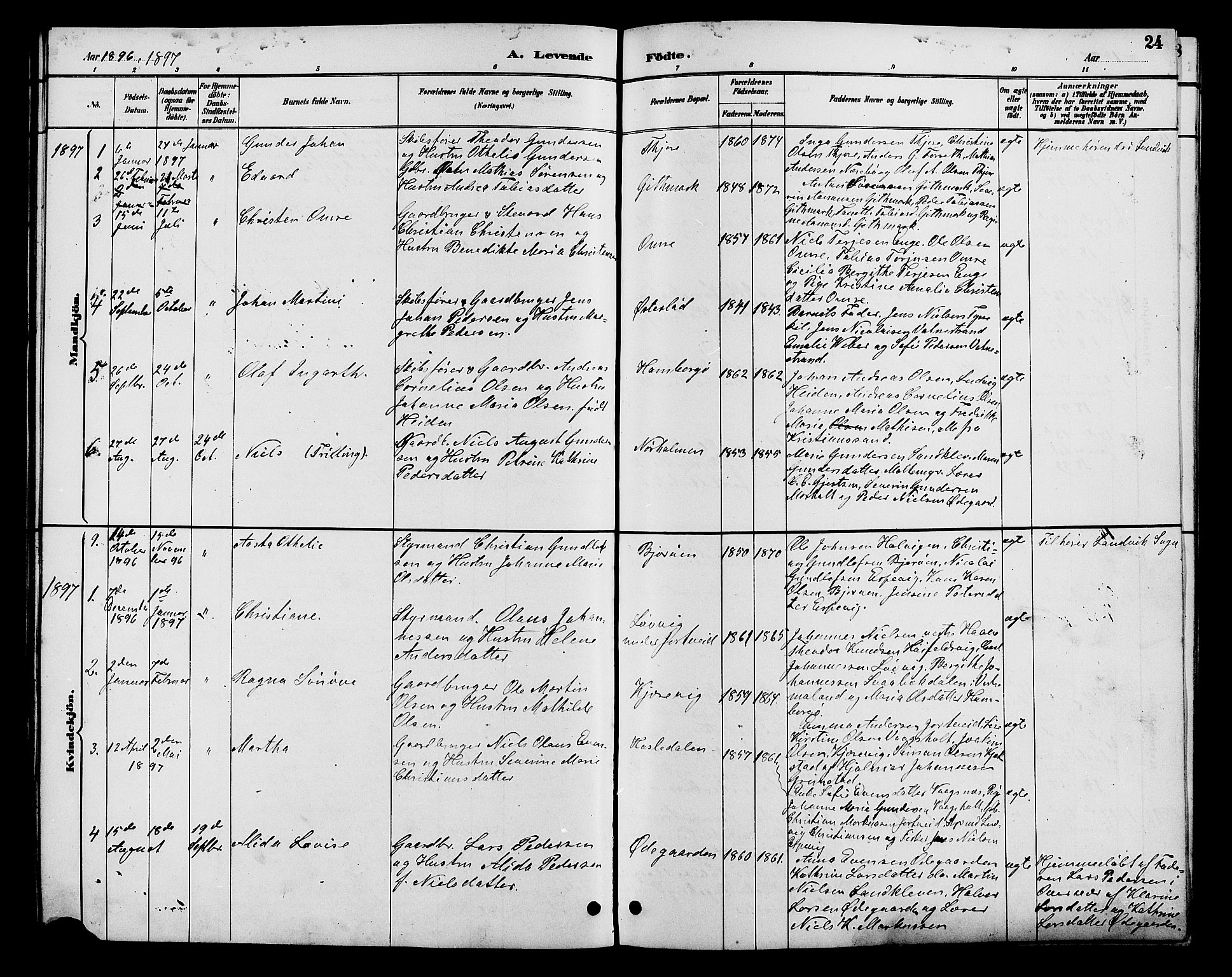 Hommedal sokneprestkontor, AV/SAK-1111-0023/F/Fb/Fba/L0004: Parish register (copy) no. B 4, 1885-1908, p. 24