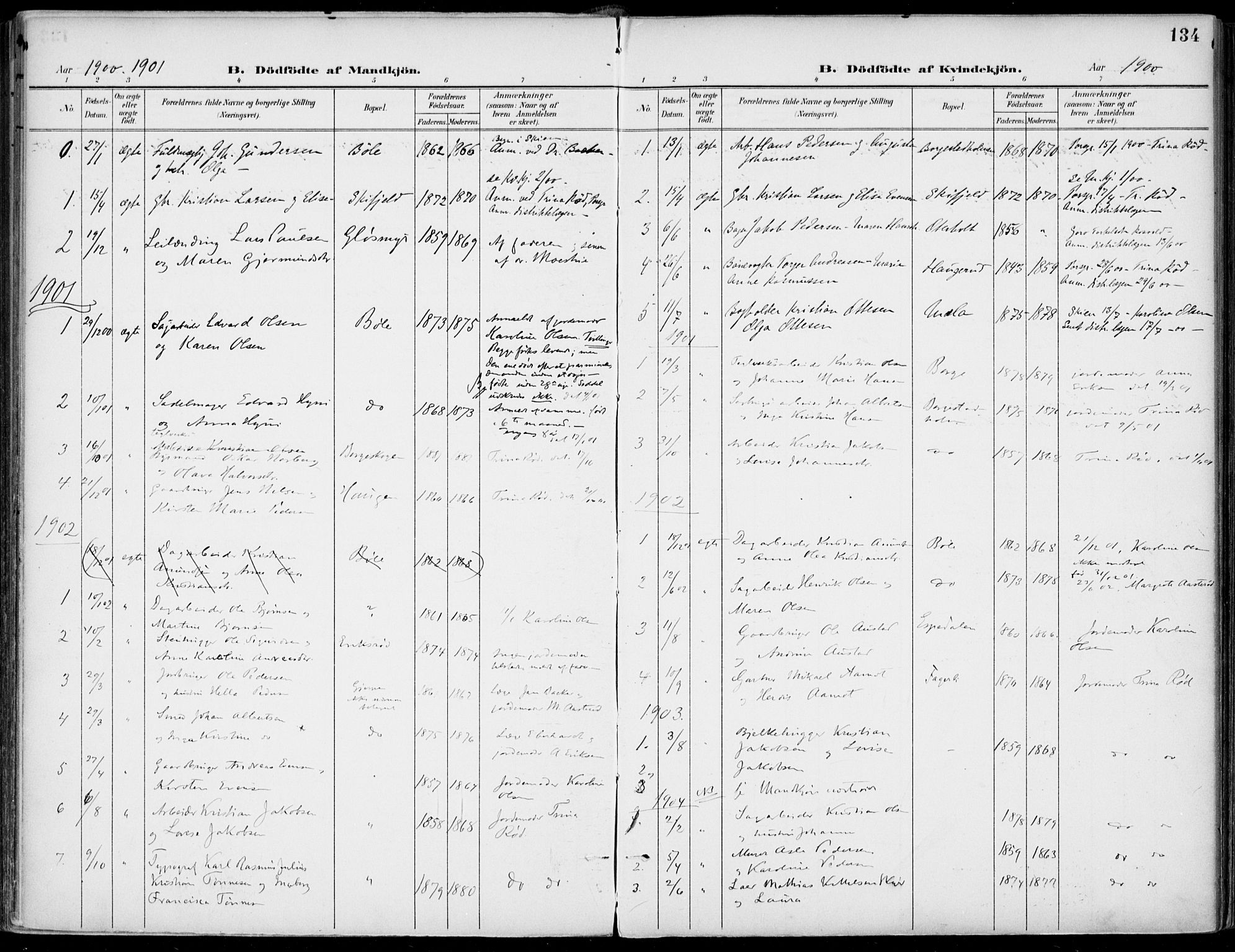 Gjerpen kirkebøker, SAKO/A-265/F/Fa/L0011: Parish register (official) no. I 11, 1896-1904, p. 134