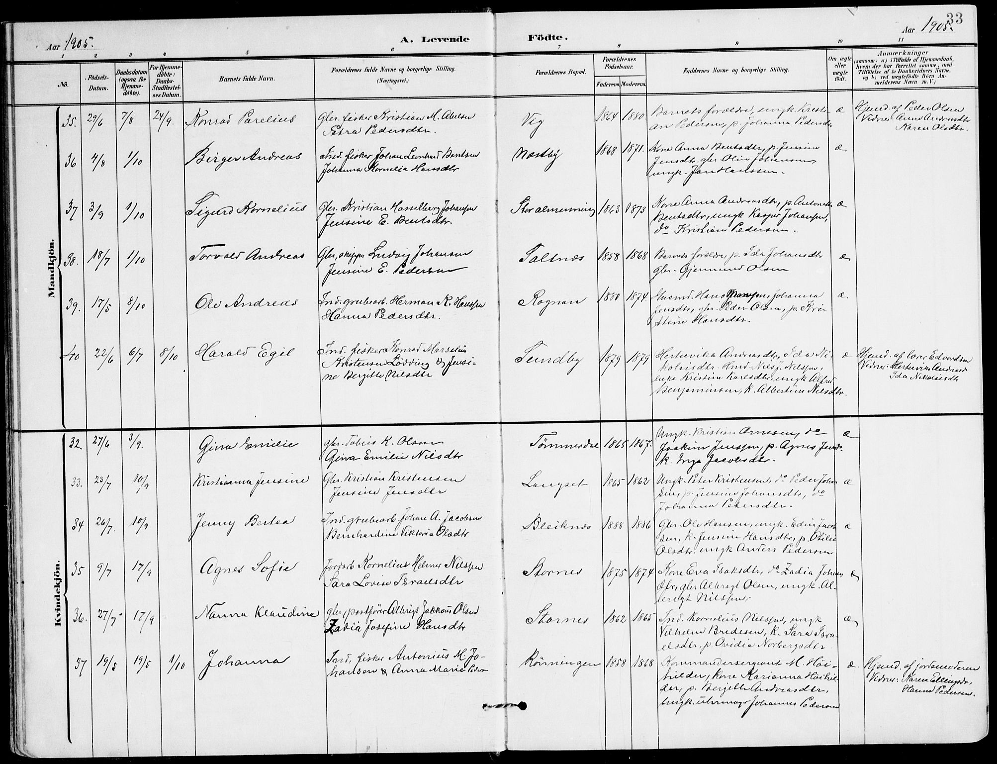 Ministerialprotokoller, klokkerbøker og fødselsregistre - Nordland, AV/SAT-A-1459/847/L0672: Parish register (official) no. 847A12, 1902-1919, p. 33