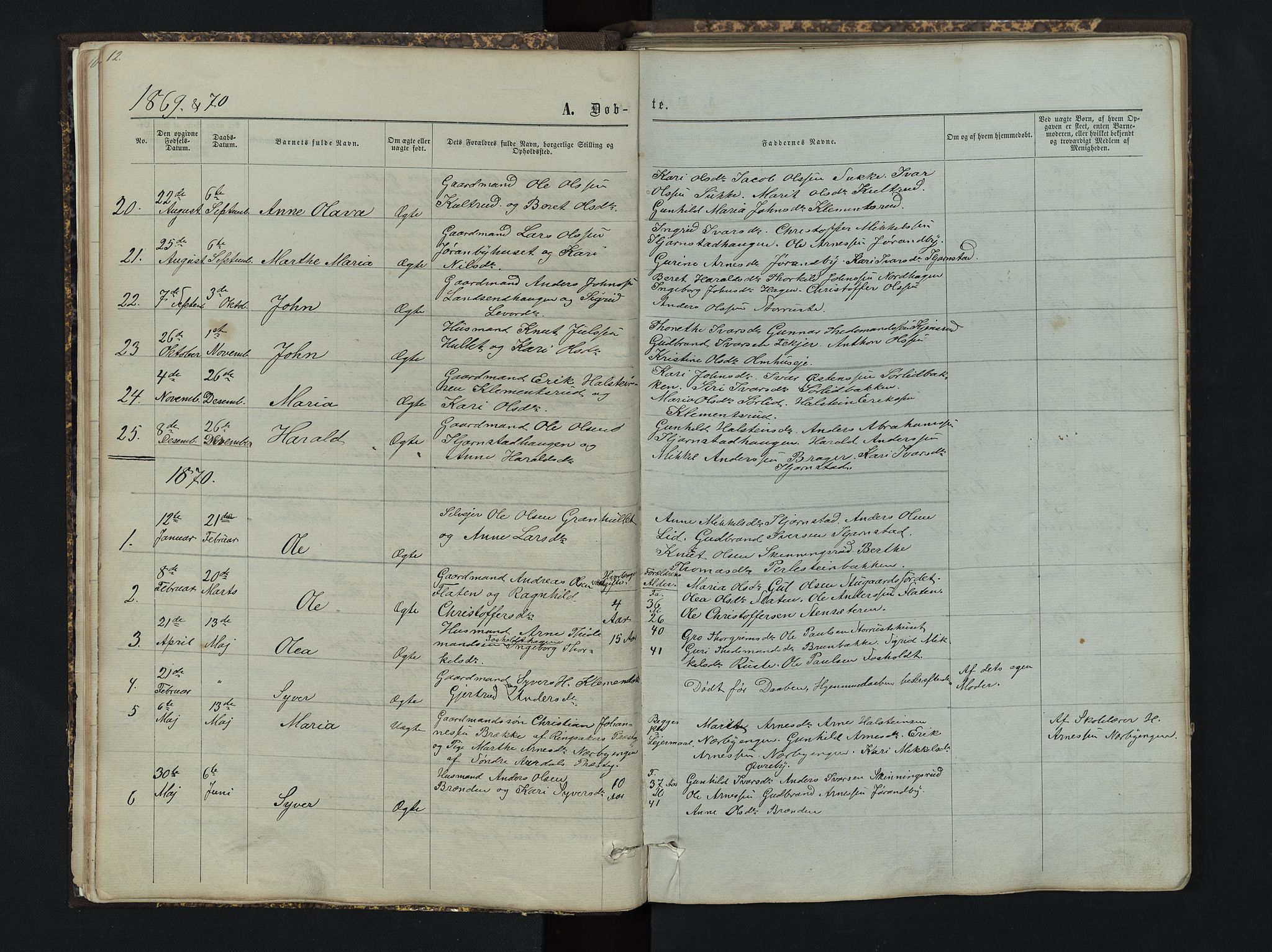 Sør-Aurdal prestekontor, SAH/PREST-128/H/Ha/Hab/L0004: Parish register (copy) no. 4, 1865-1893, p. 12