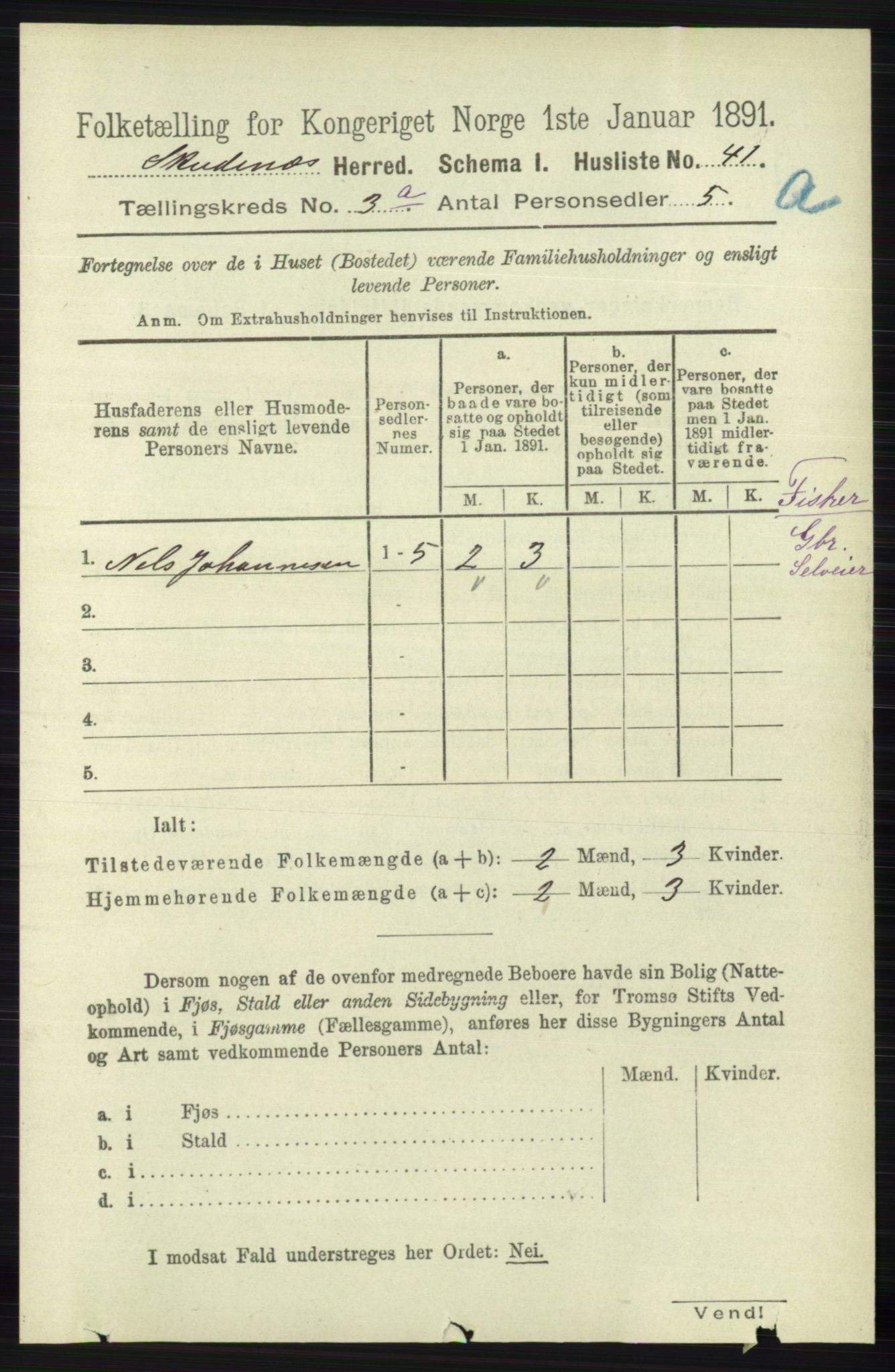 RA, 1891 census for 1150 Skudenes, 1891, p. 1371