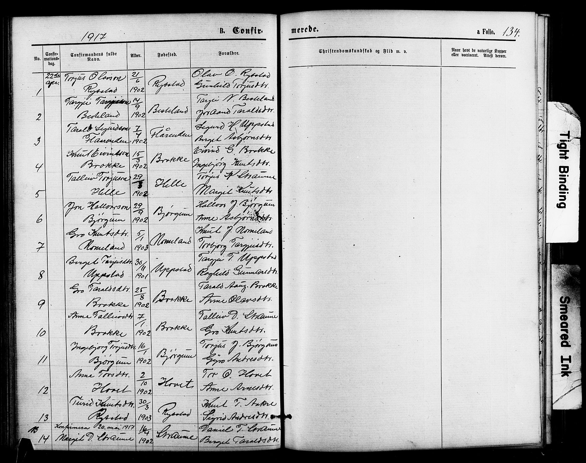 Valle sokneprestkontor, SAK/1111-0044/F/Fb/Fbb/L0002: Parish register (copy) no. B 2, 1875-1921, p. 134