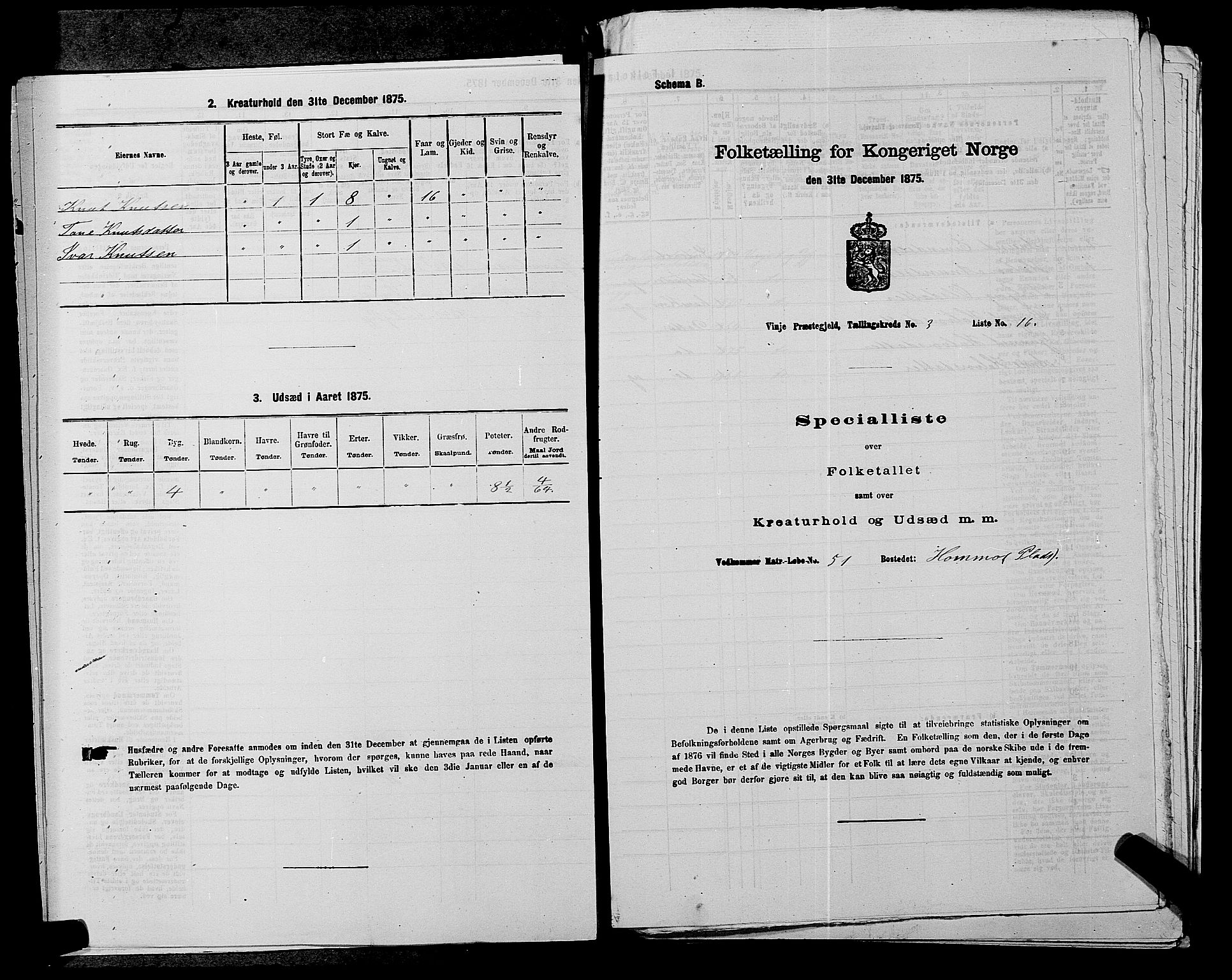 SAKO, 1875 census for 0834P Vinje, 1875, p. 299