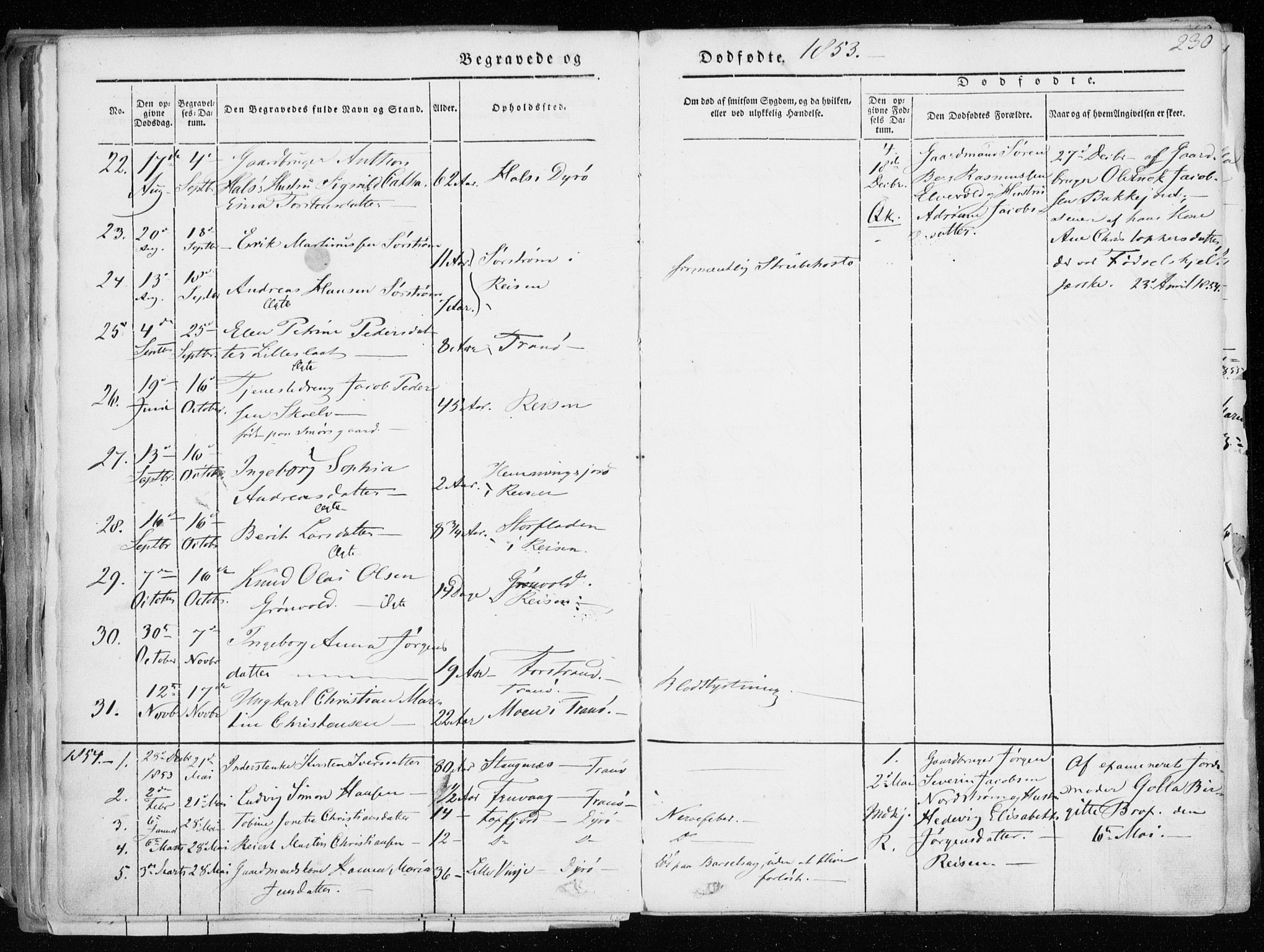 Tranøy sokneprestkontor, SATØ/S-1313/I/Ia/Iaa/L0006kirke: Parish register (official) no. 6, 1844-1855, p. 230