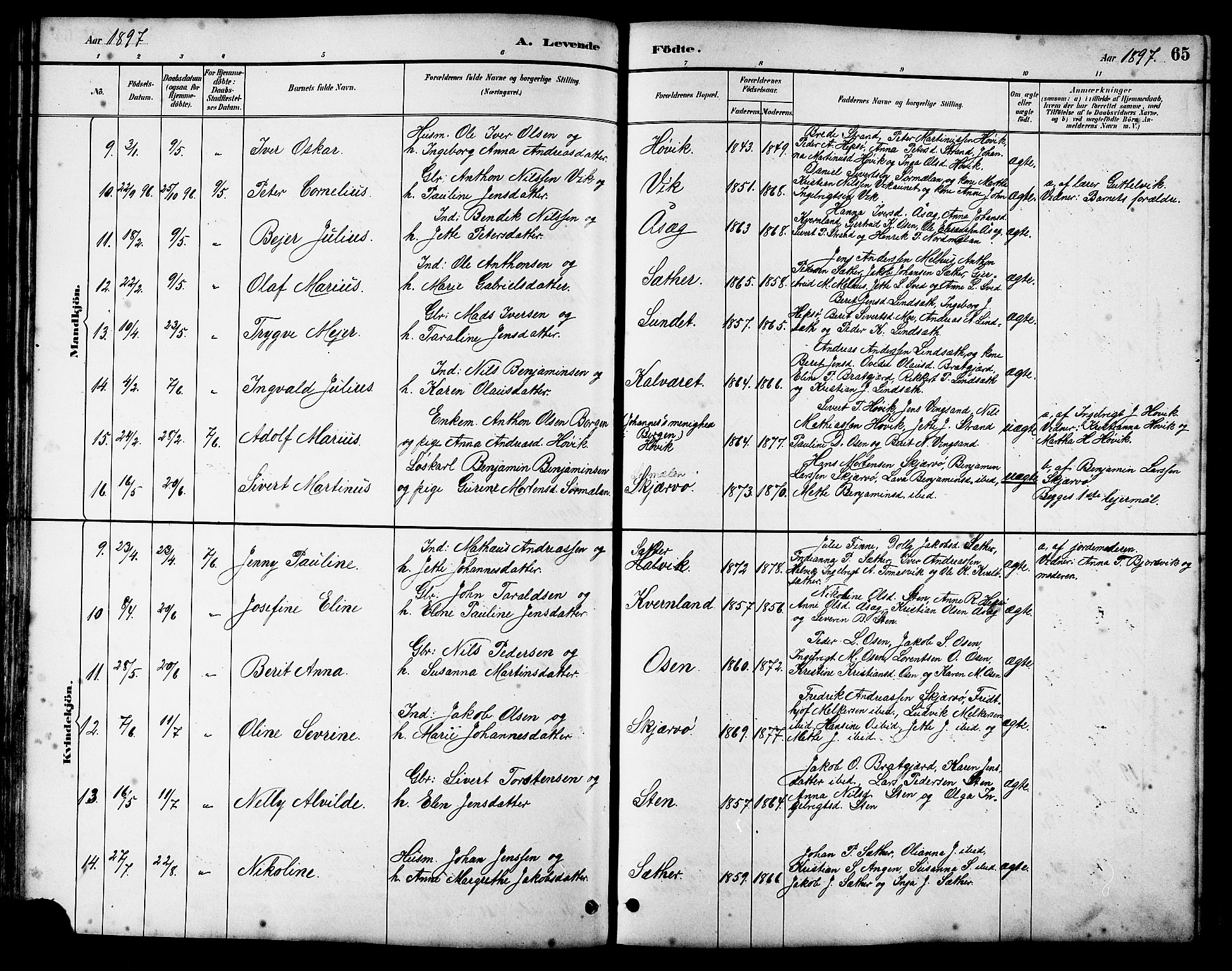 Ministerialprotokoller, klokkerbøker og fødselsregistre - Sør-Trøndelag, SAT/A-1456/658/L0726: Parish register (copy) no. 658C02, 1883-1908, p. 65