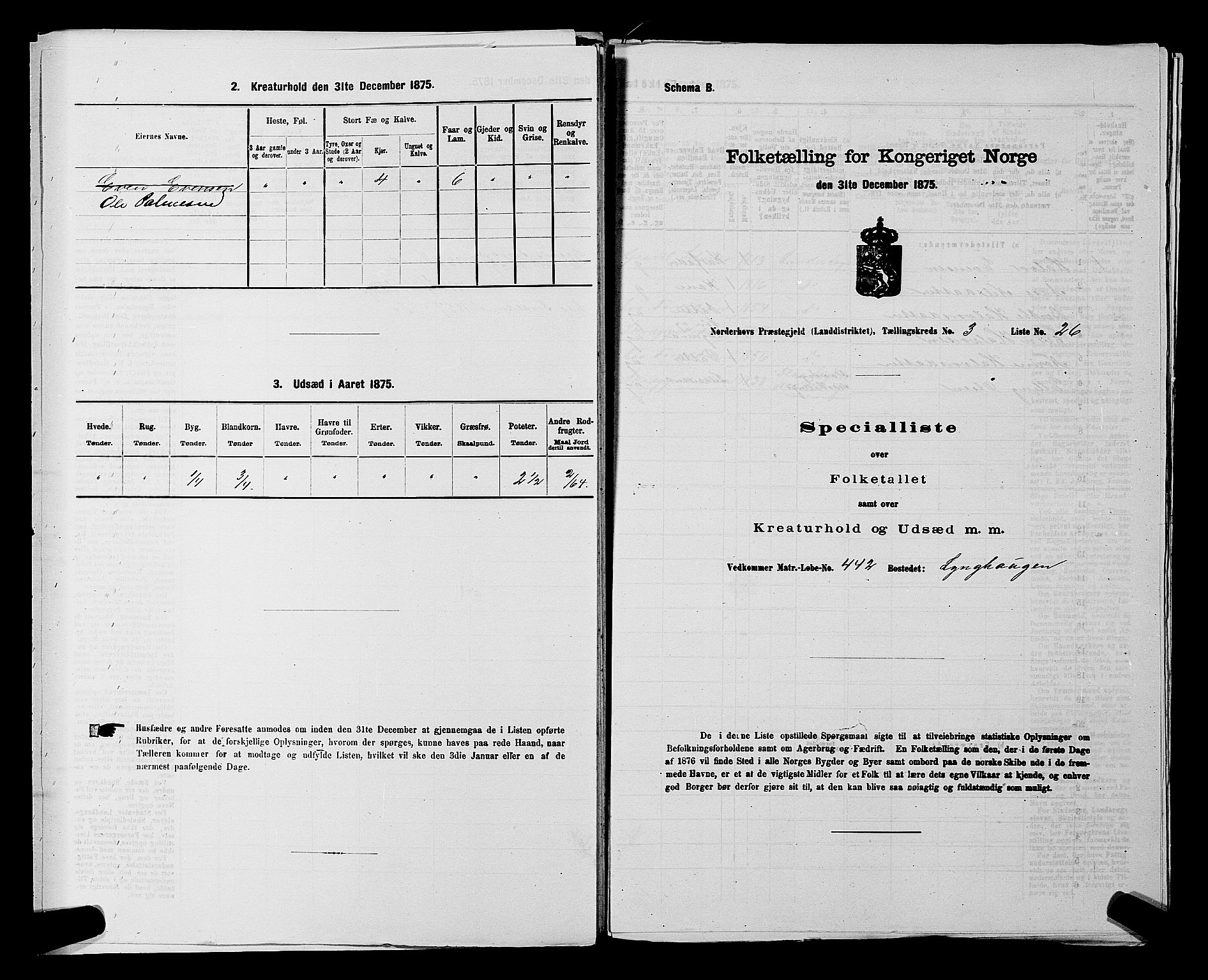 SAKO, 1875 census for 0613L Norderhov/Norderhov, Haug og Lunder, 1875, p. 2613