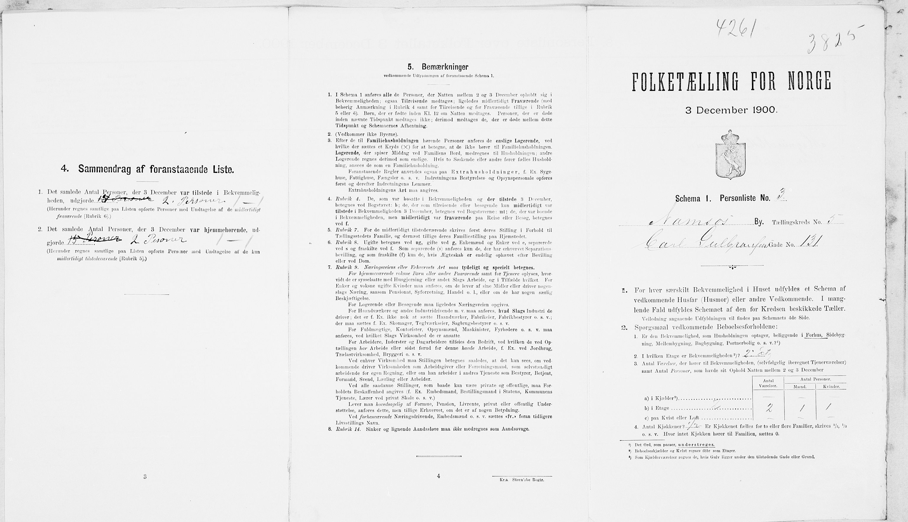 SAT, 1900 census for Namsos, 1900, p. 113