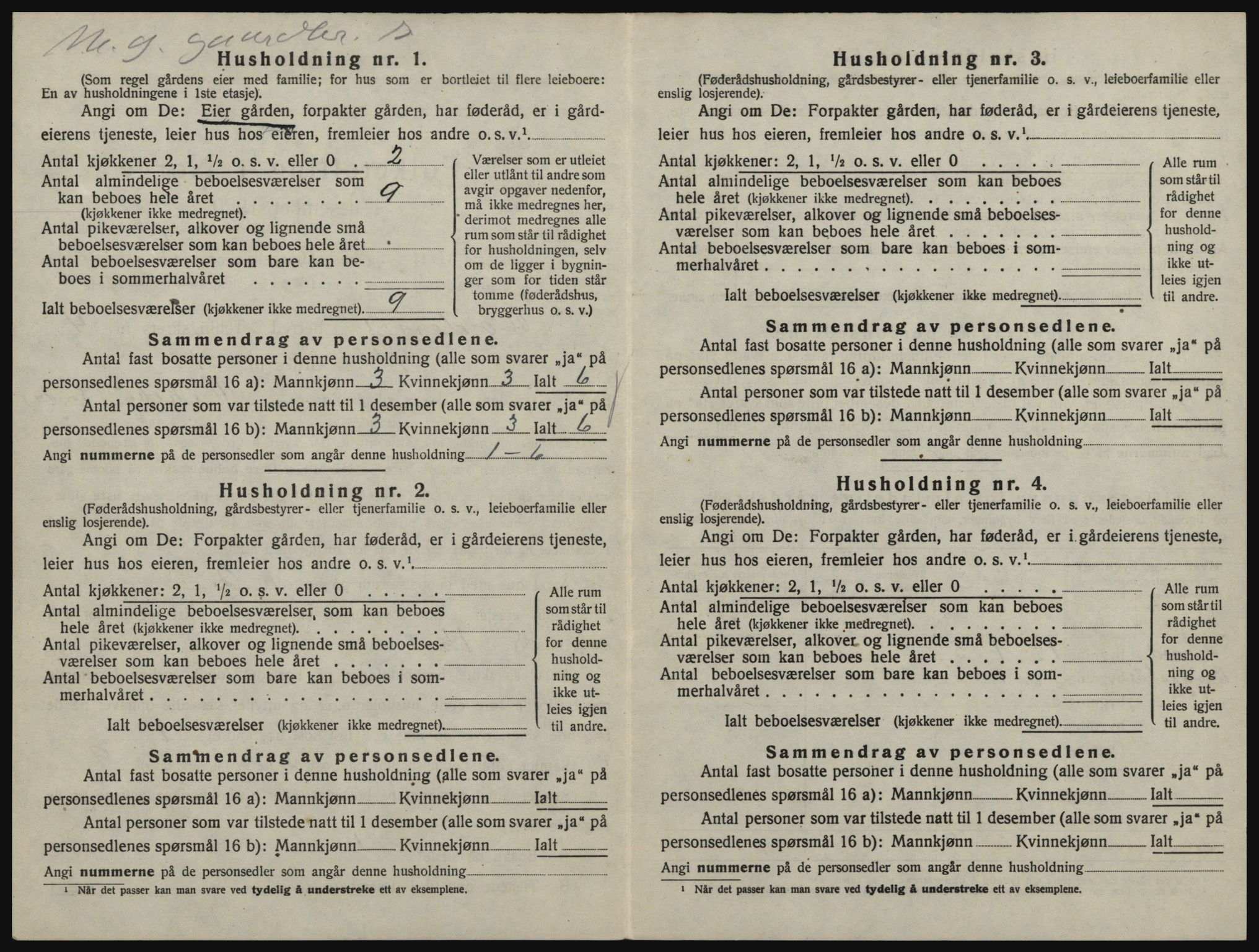 SAO, 1920 census for Rødenes, 1920, p. 393