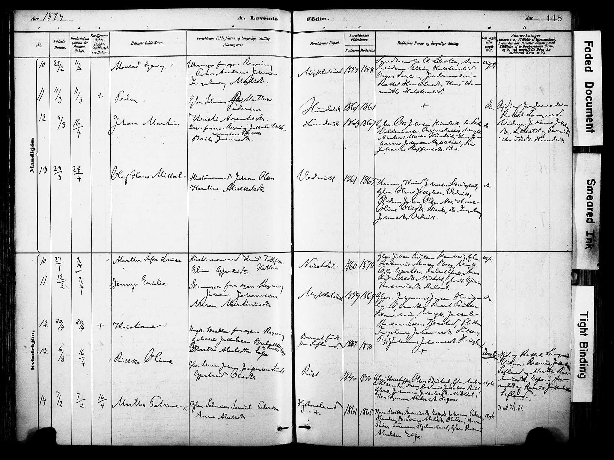 Eid sokneprestembete, AV/SAB-A-82301/H/Haa/Haab/L0001: Parish register (official) no. B 1, 1879-1906, p. 118