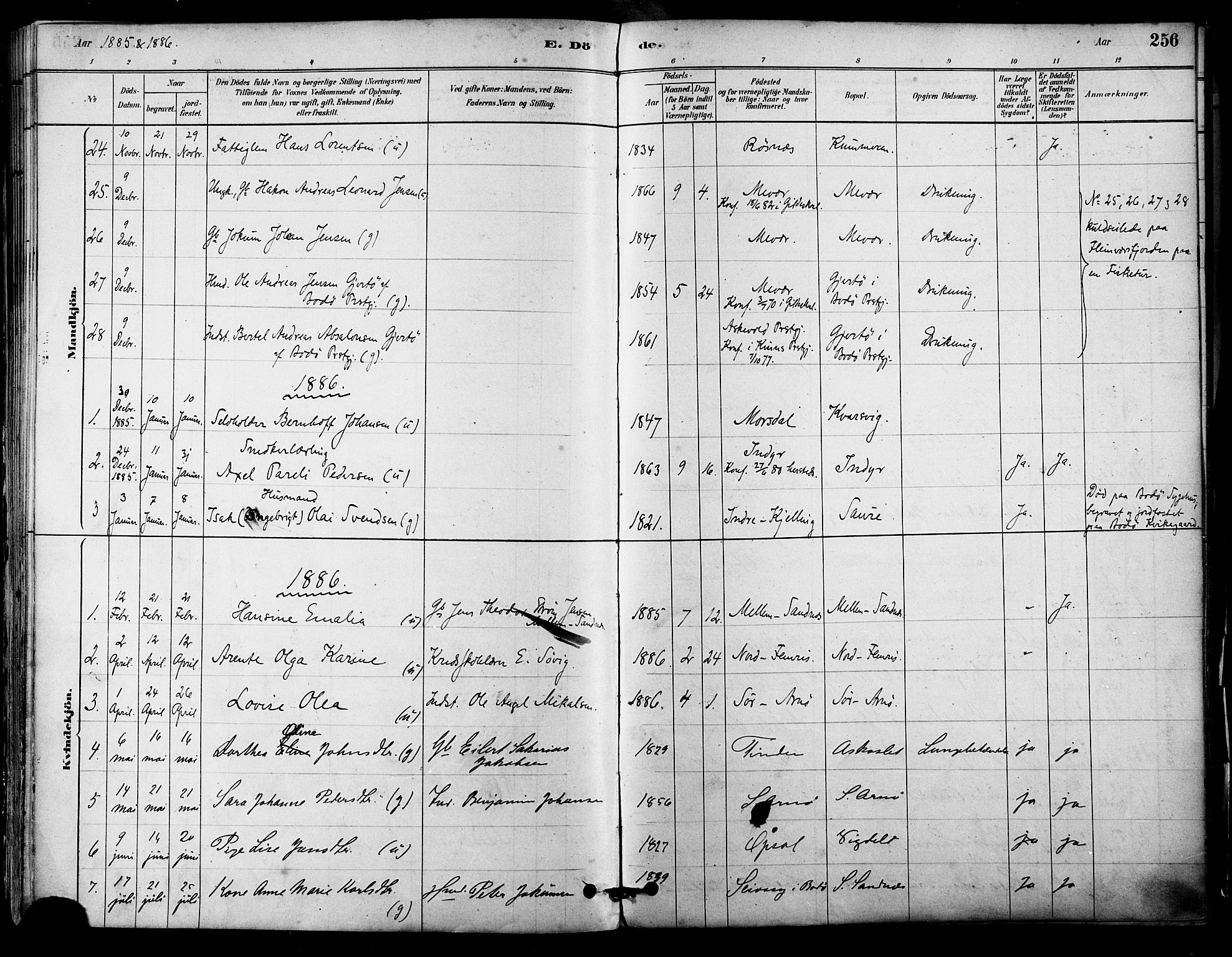 Ministerialprotokoller, klokkerbøker og fødselsregistre - Nordland, AV/SAT-A-1459/805/L0099: Parish register (official) no. 805A06, 1880-1891, p. 256