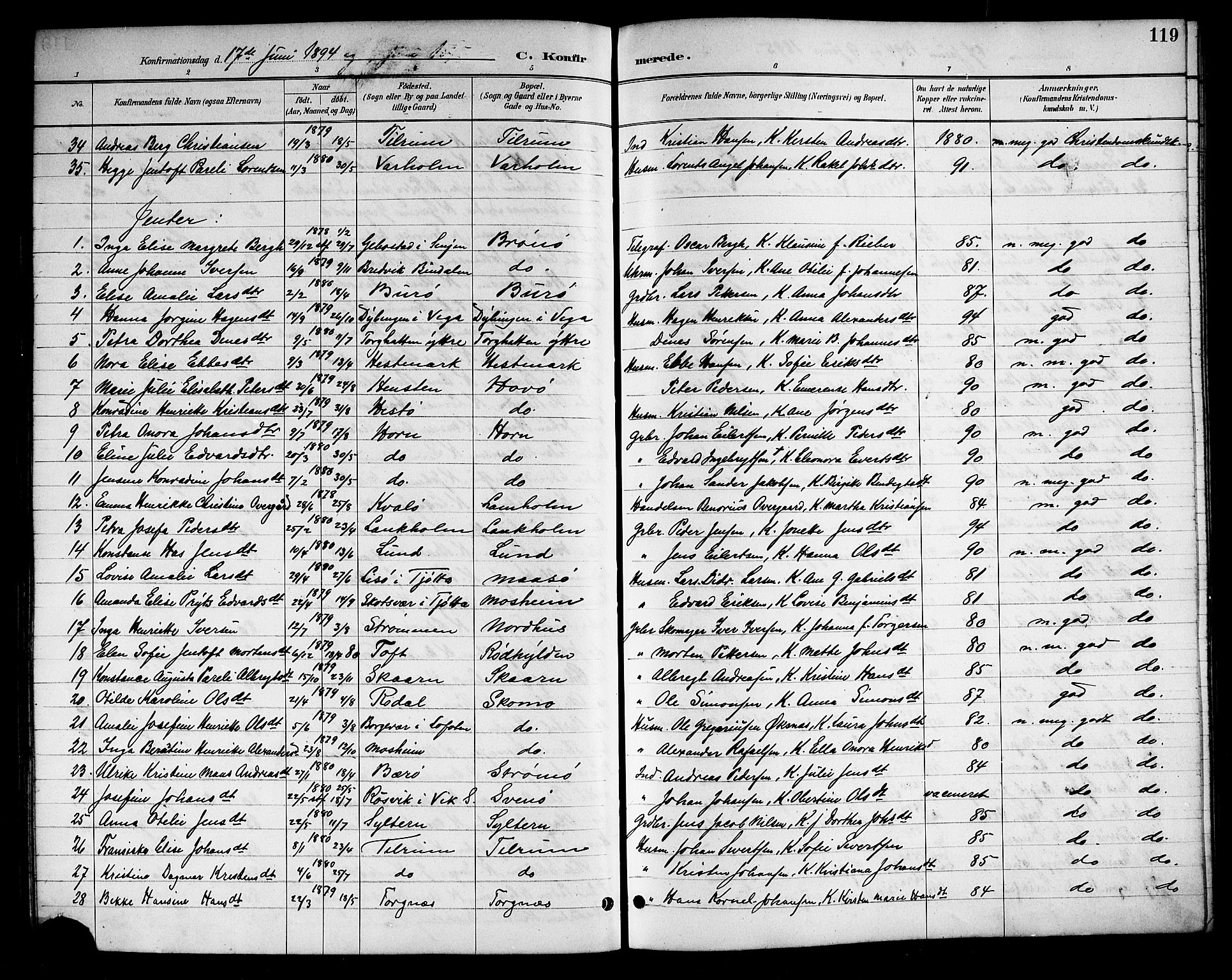 Ministerialprotokoller, klokkerbøker og fødselsregistre - Nordland, SAT/A-1459/813/L0213: Parish register (copy) no. 813C05, 1887-1903, p. 119