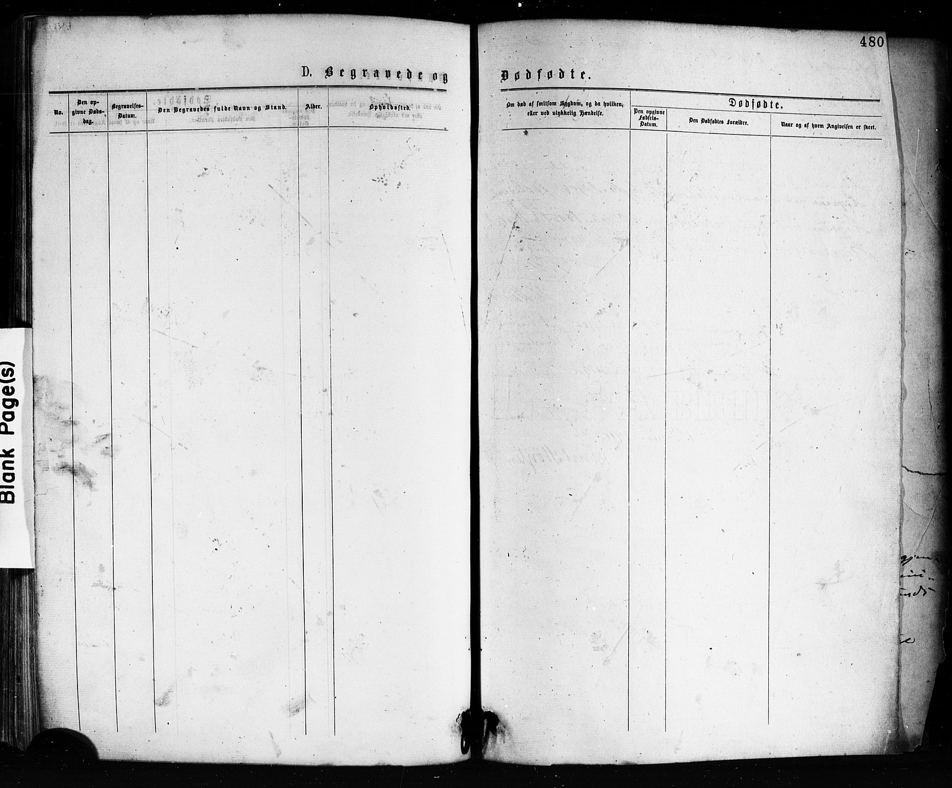 Porsgrunn kirkebøker , AV/SAKO-A-104/G/Ga/L0003: Parish register (copy) no. I 3, 1877-1915, p. 480