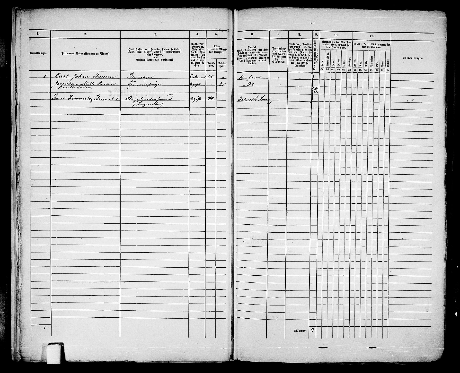 RA, 1865 census for Kristiansand, 1865, p. 22