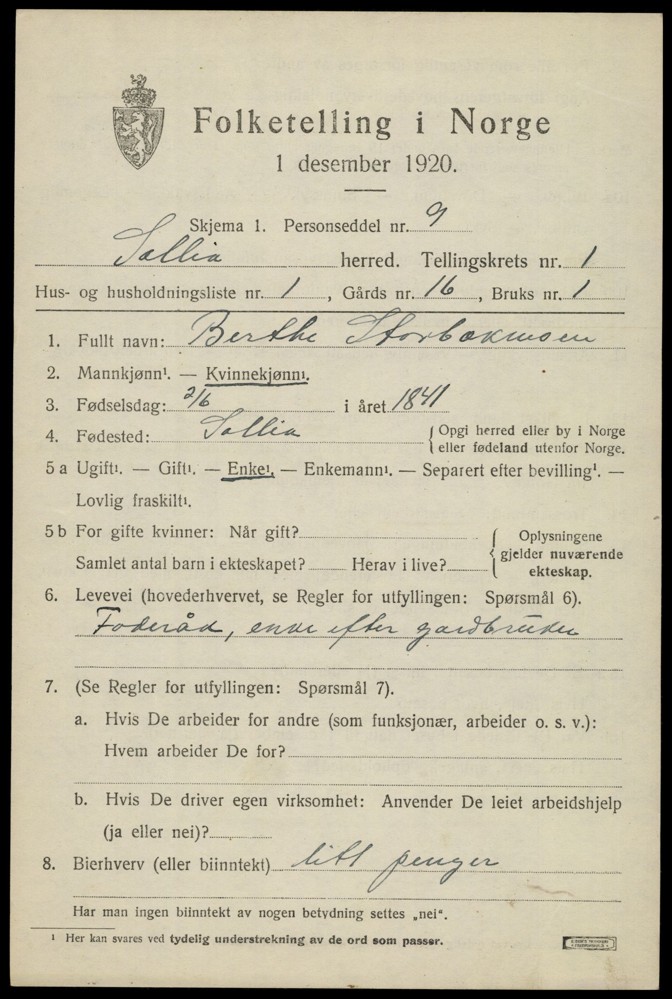 SAH, 1920 census for Sollia, 1920, p. 199