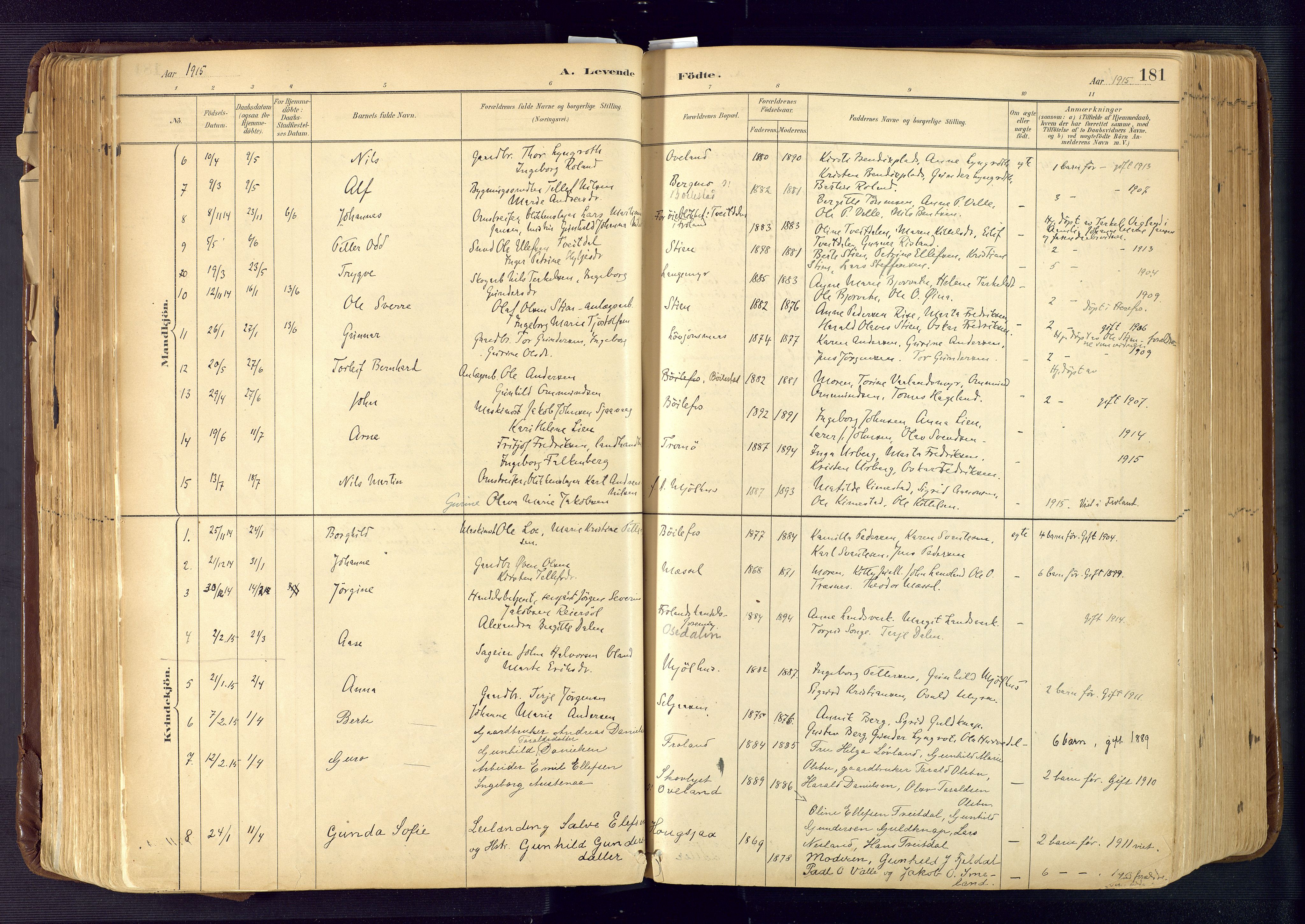 Froland sokneprestkontor, SAK/1111-0013/F/Fa/L0005: Parish register (official) no. A 5, 1882-1921, p. 181