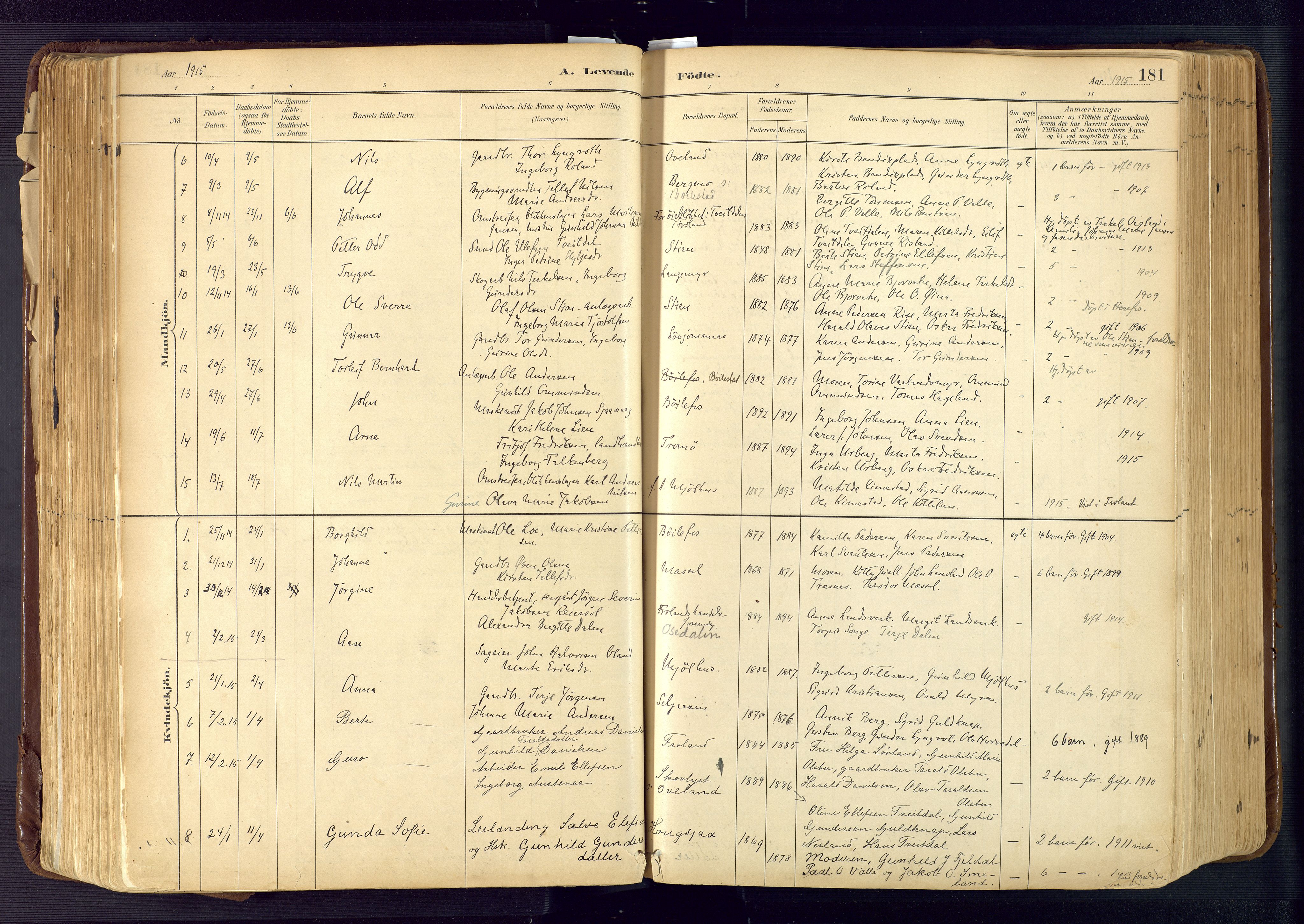 Froland sokneprestkontor, AV/SAK-1111-0013/F/Fa/L0005: Parish register (official) no. A 5, 1882-1921, p. 181