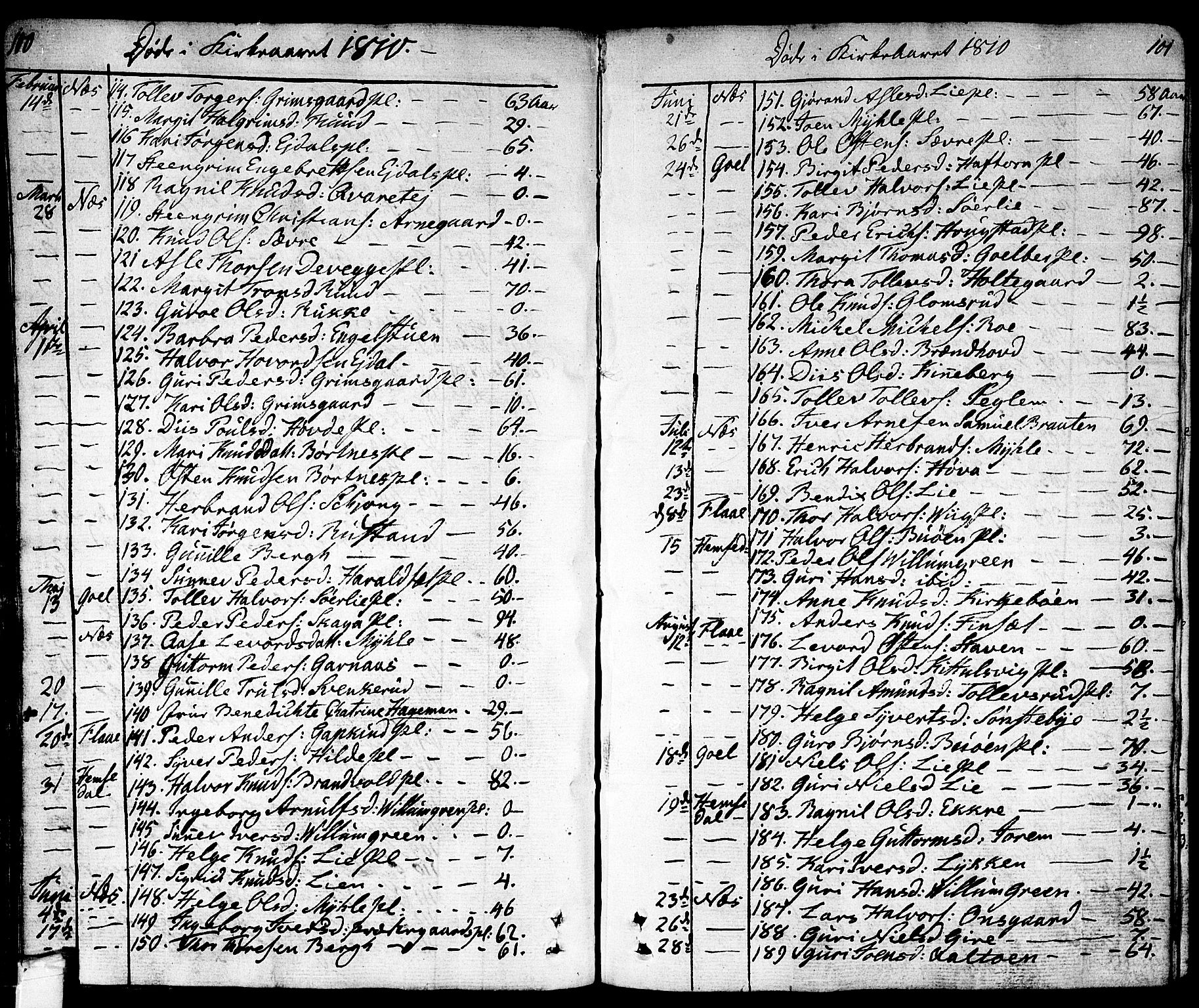 Nes kirkebøker, SAKO/A-236/F/Fa/L0006: Parish register (official) no. 6, 1808-1814, p. 100-101